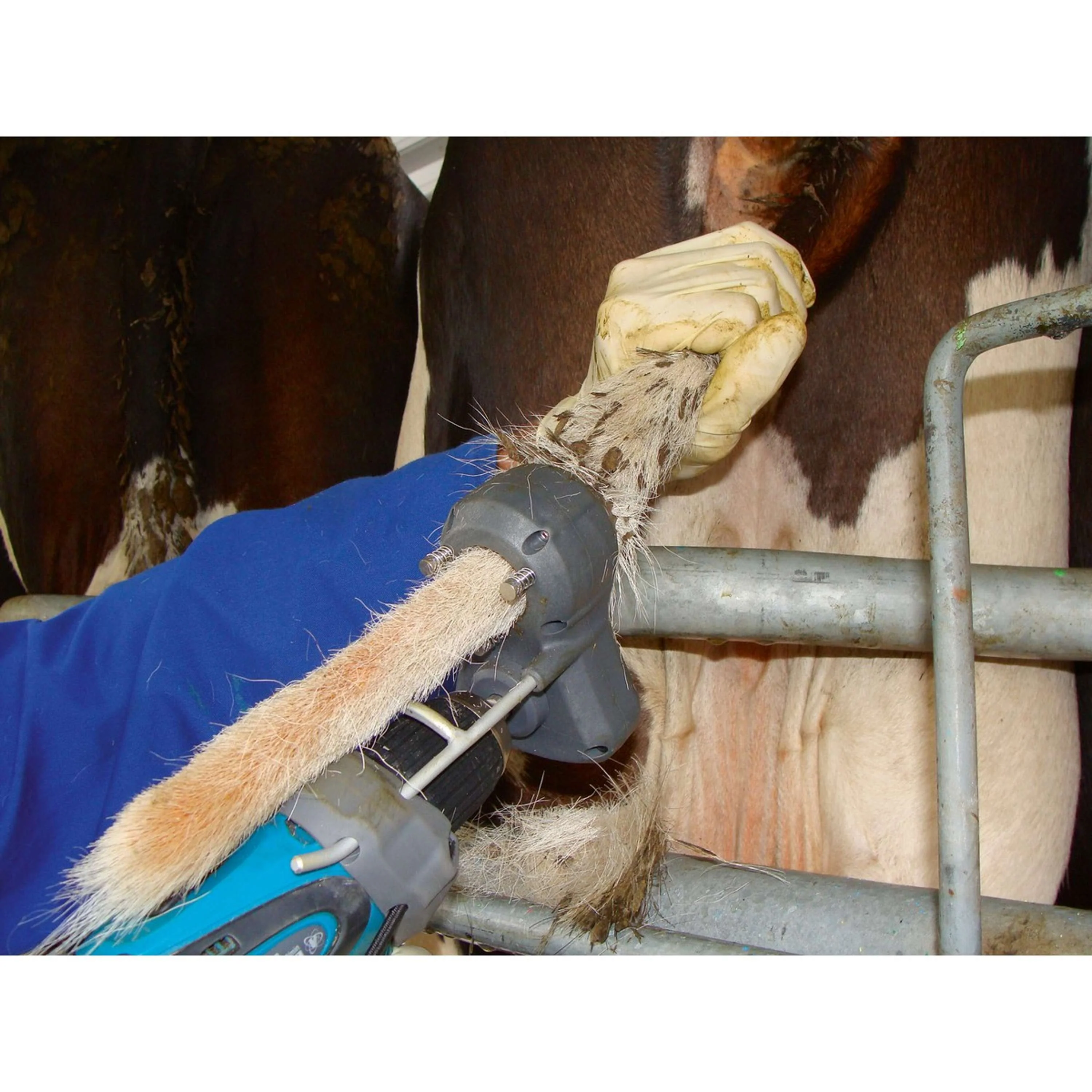 Kerbl Tondeuse pour Queue Tailwell II - Image 4