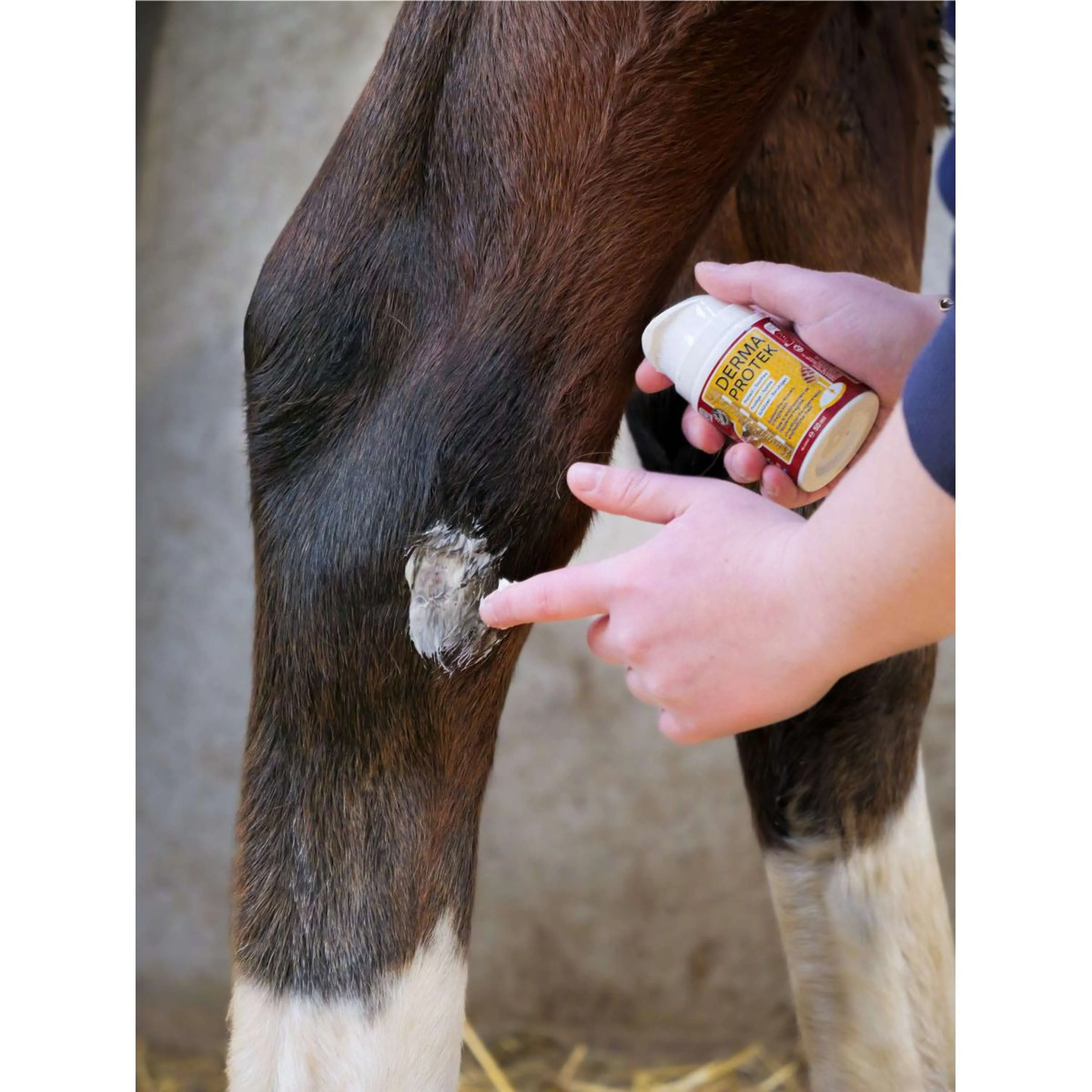Kevin Bacon's Derma Protek - Image 3
