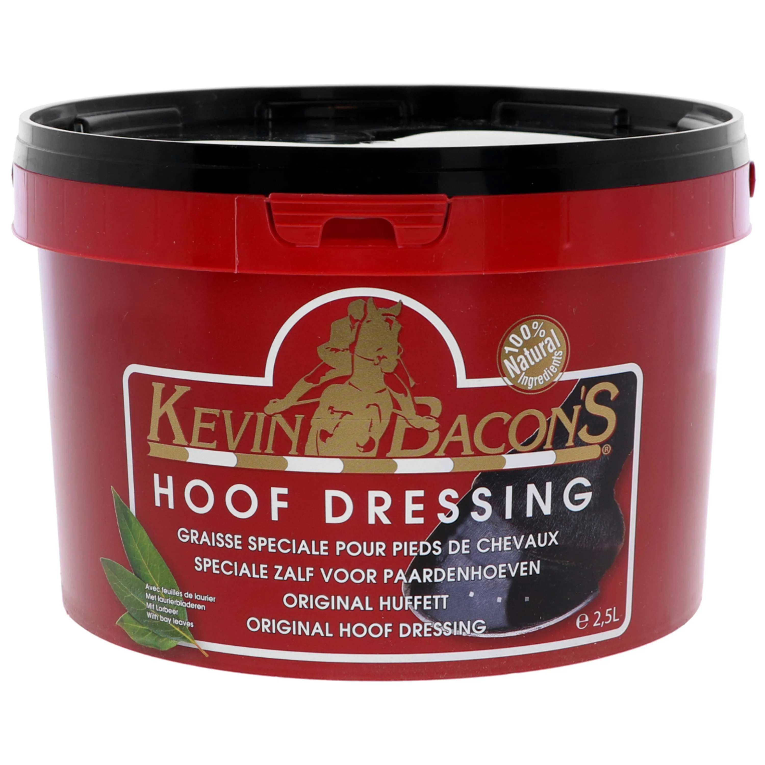 Kevin Bacon's Dressing pour Sabots Black - Image 8