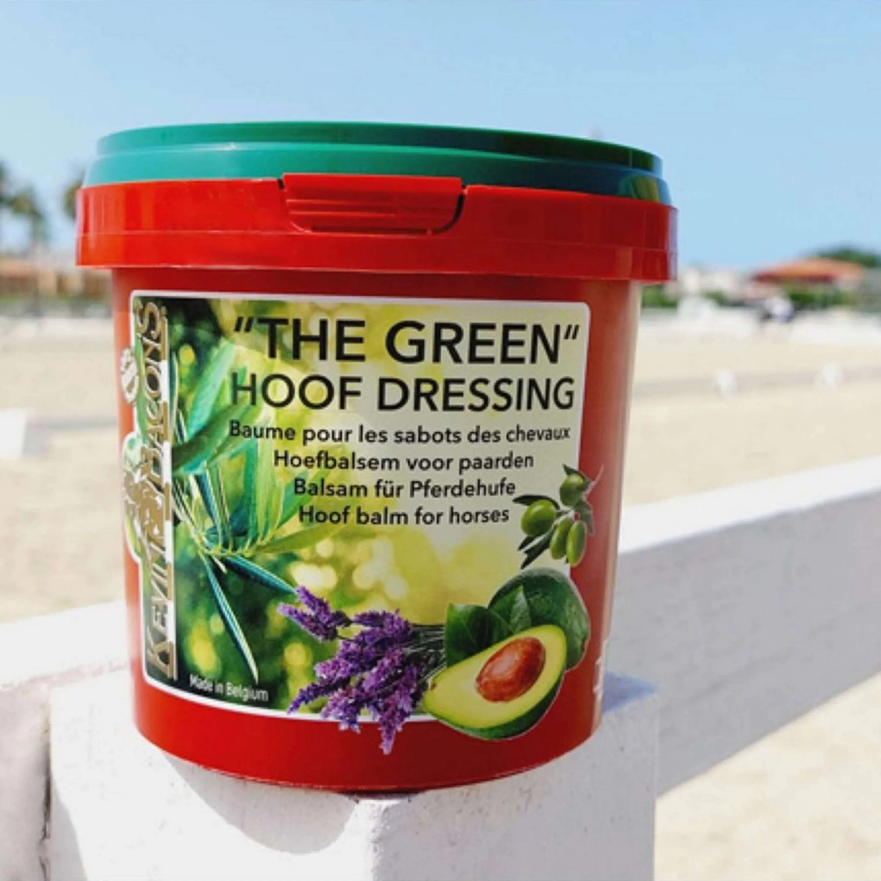 Kevin Bacon's Dressing pour Sabots The Green" - Image 5