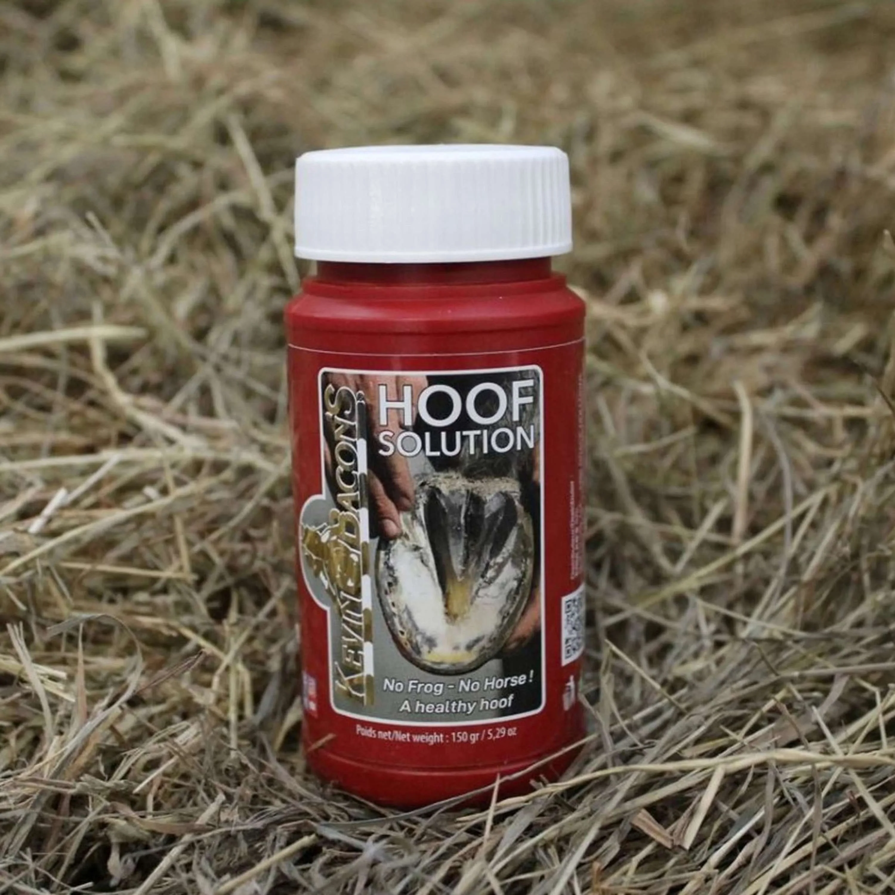 Kevin Bacon's Hoofsolution - Image 6