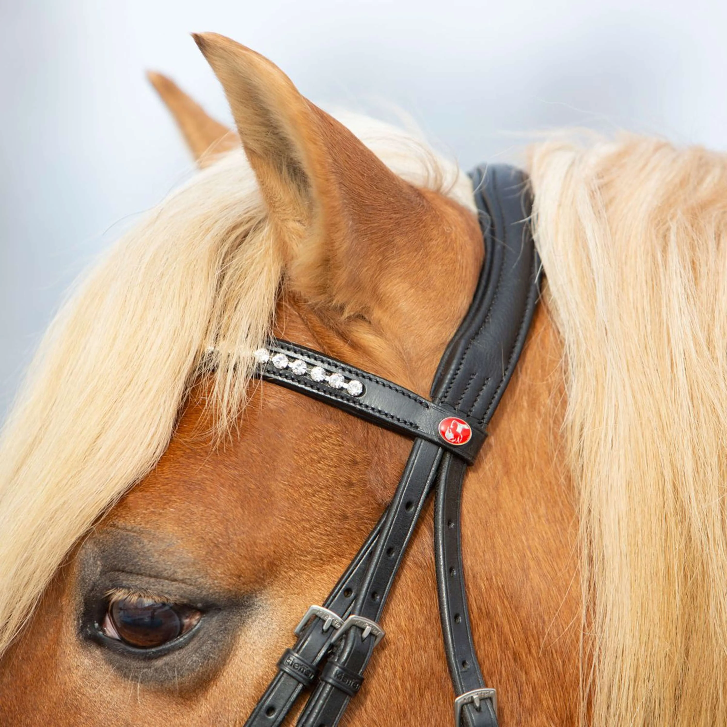 Kieffer Bride Ultrasoft Haflinger Noir/Blanches Pierres - Image 5