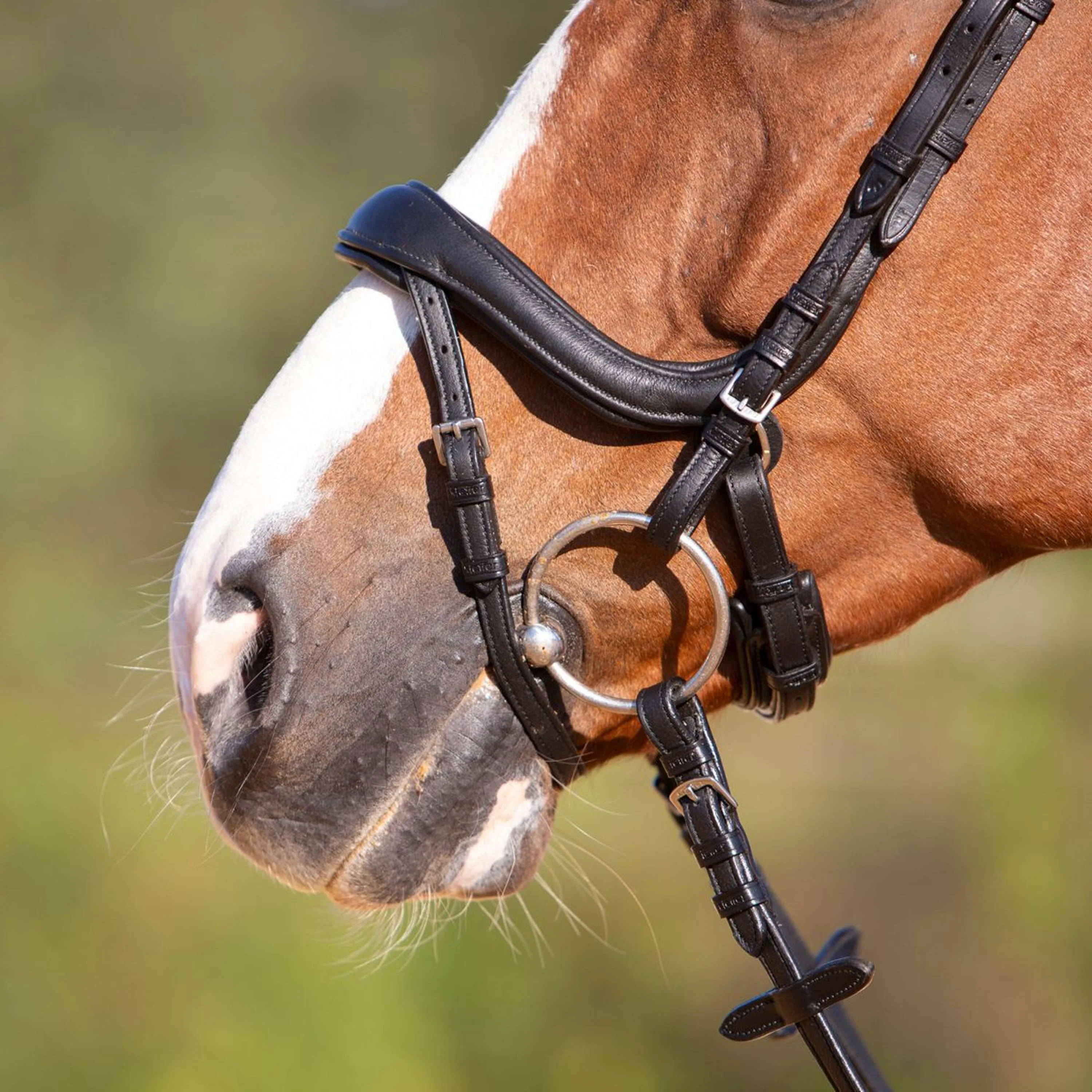 Kieffer Bridon Amy Ultrasoft Suédois avec Boucle et Noseband Noir - Image 10