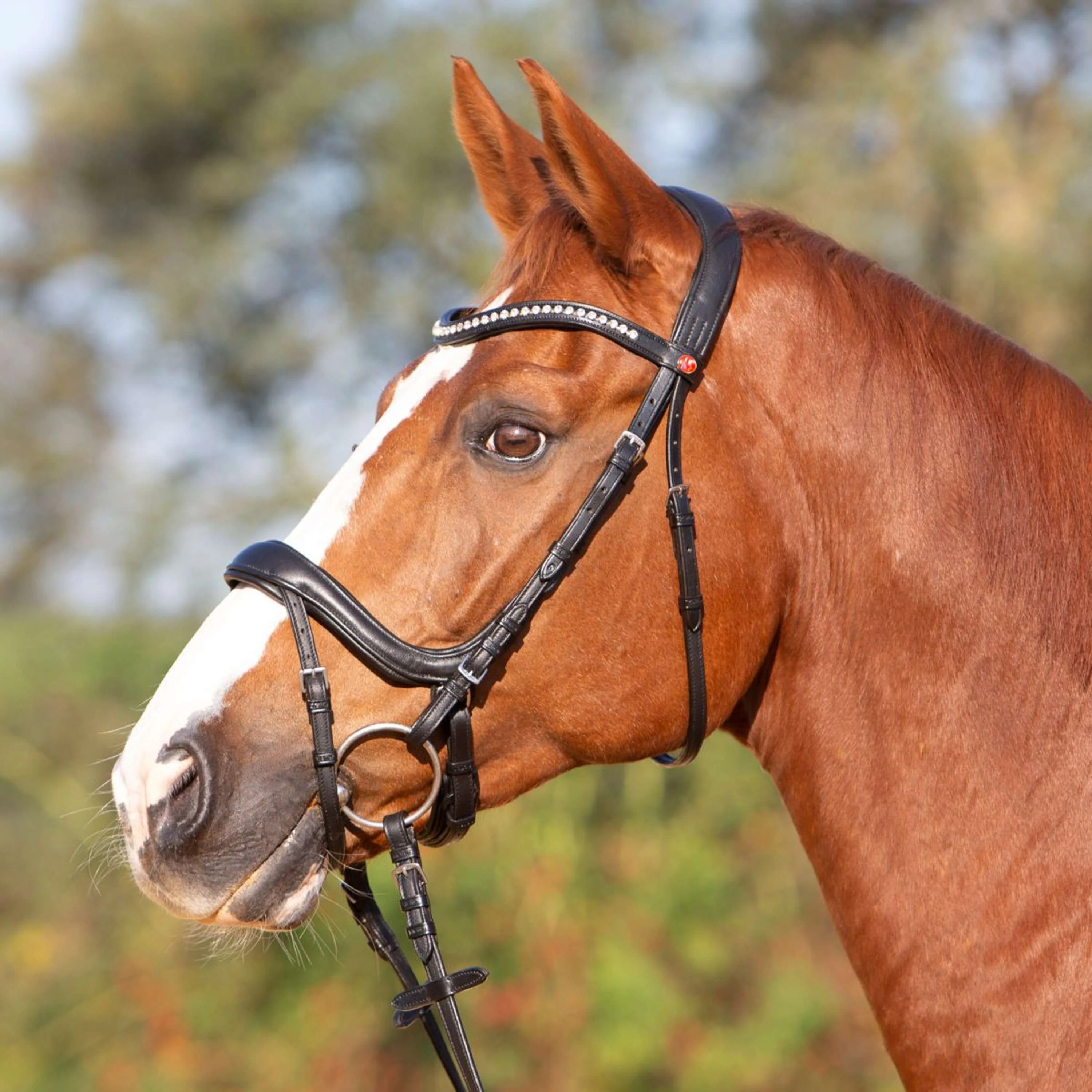 Kieffer Bridon Amy Ultrasoft Suédois avec Boucle et Noseband Noir - Image 6