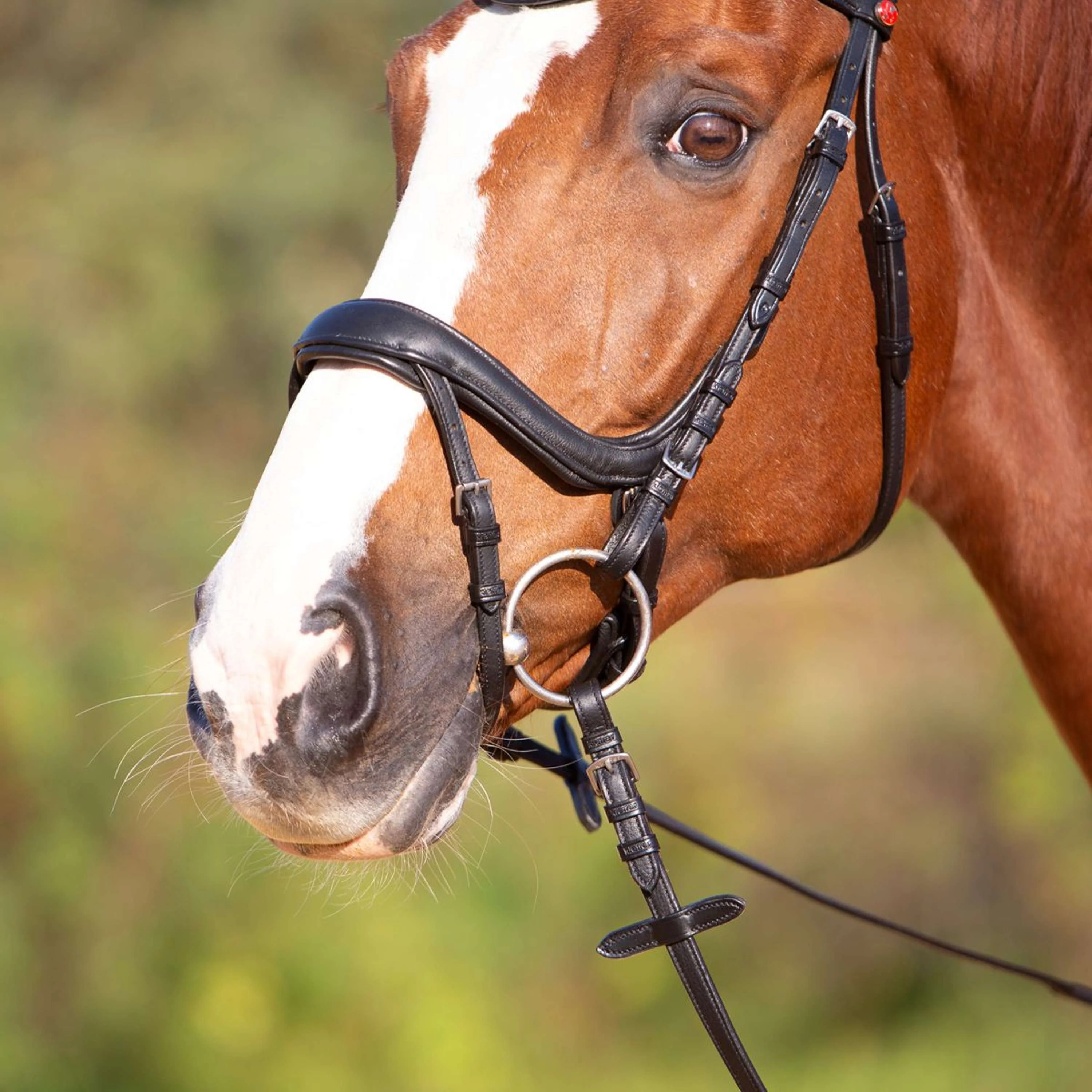 Kieffer Bridon Amy Ultrasoft Suédois avec Boucle et Noseband Noir - Image 7
