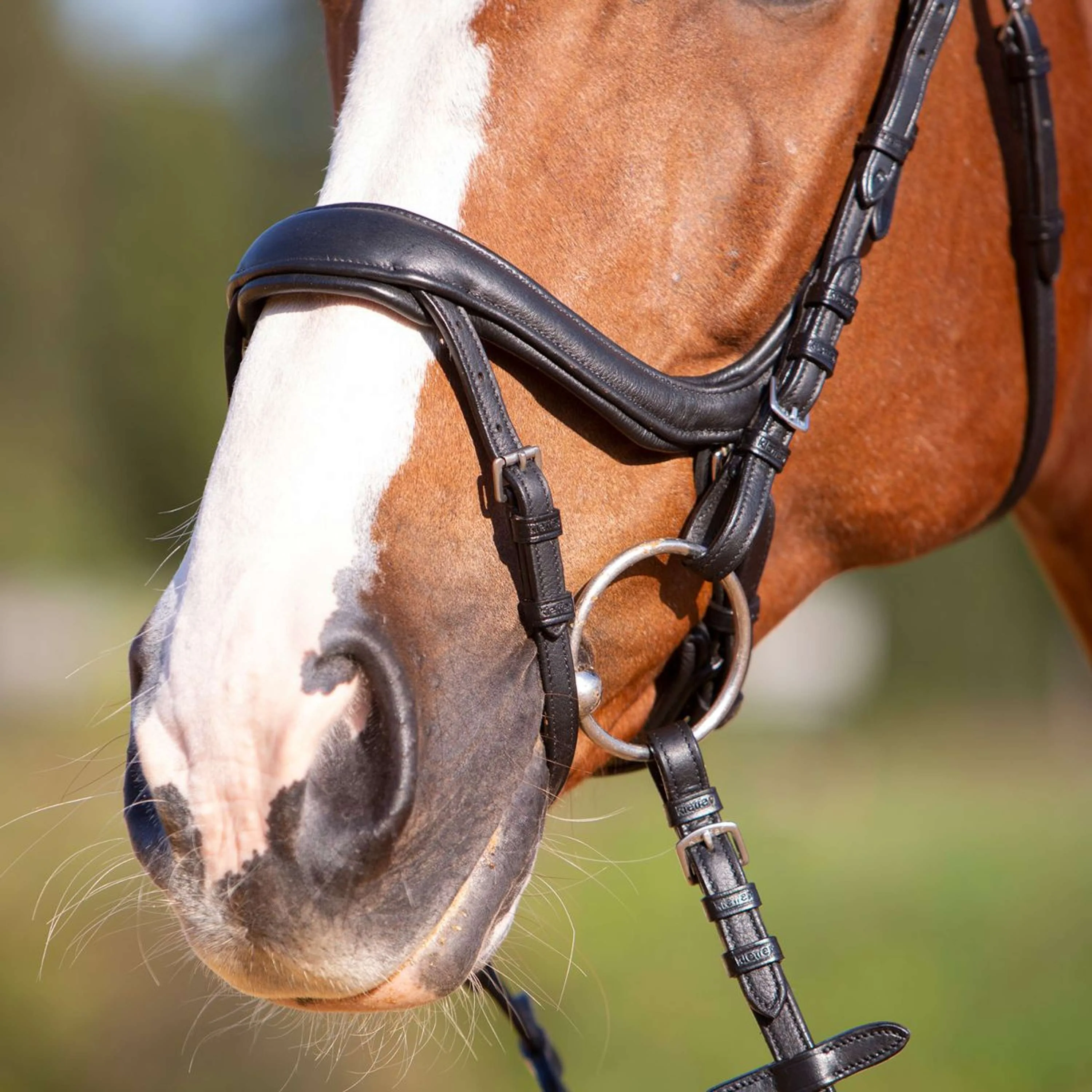 Kieffer Bridon Amy Ultrasoft Suédois avec Boucle et Noseband Noir - Image 9