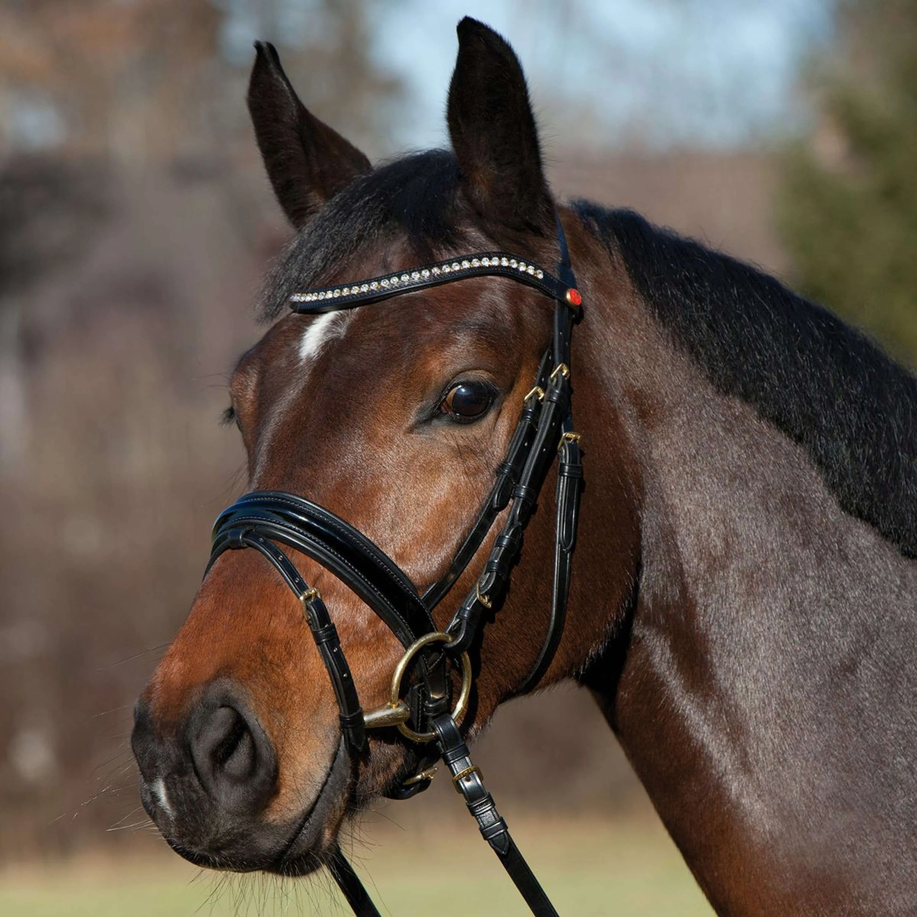 Kieffer Bridon Comfort Paris Anglais Muserolle avec Noseband, Noir Technique, Vernis, 35mm Noir - Image 2