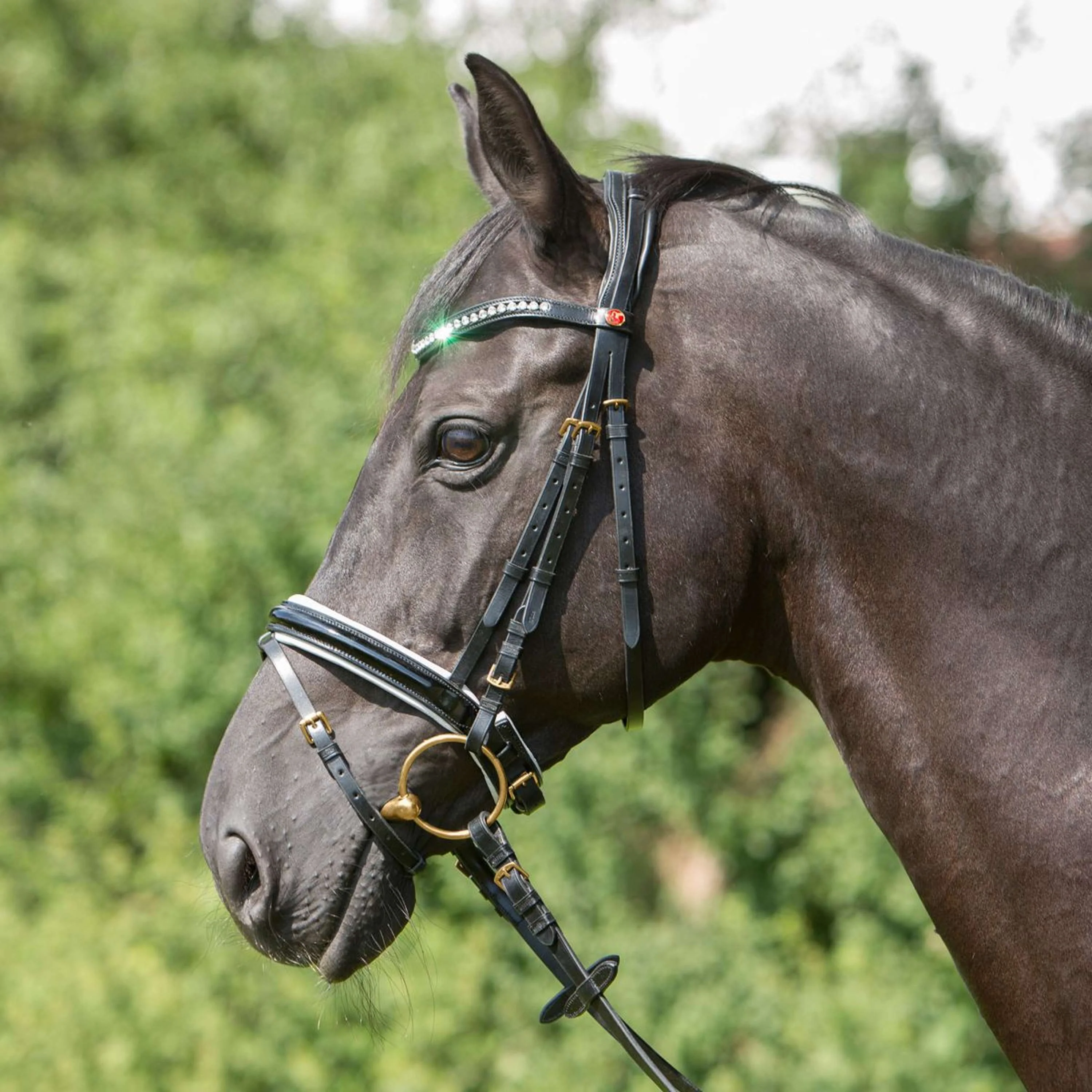 Kieffer Bridon Comfort Paris Anglais Muserolle avec Noseband, Noir Technique, Vernis, 35mm Noir/Blanc - Image 4
