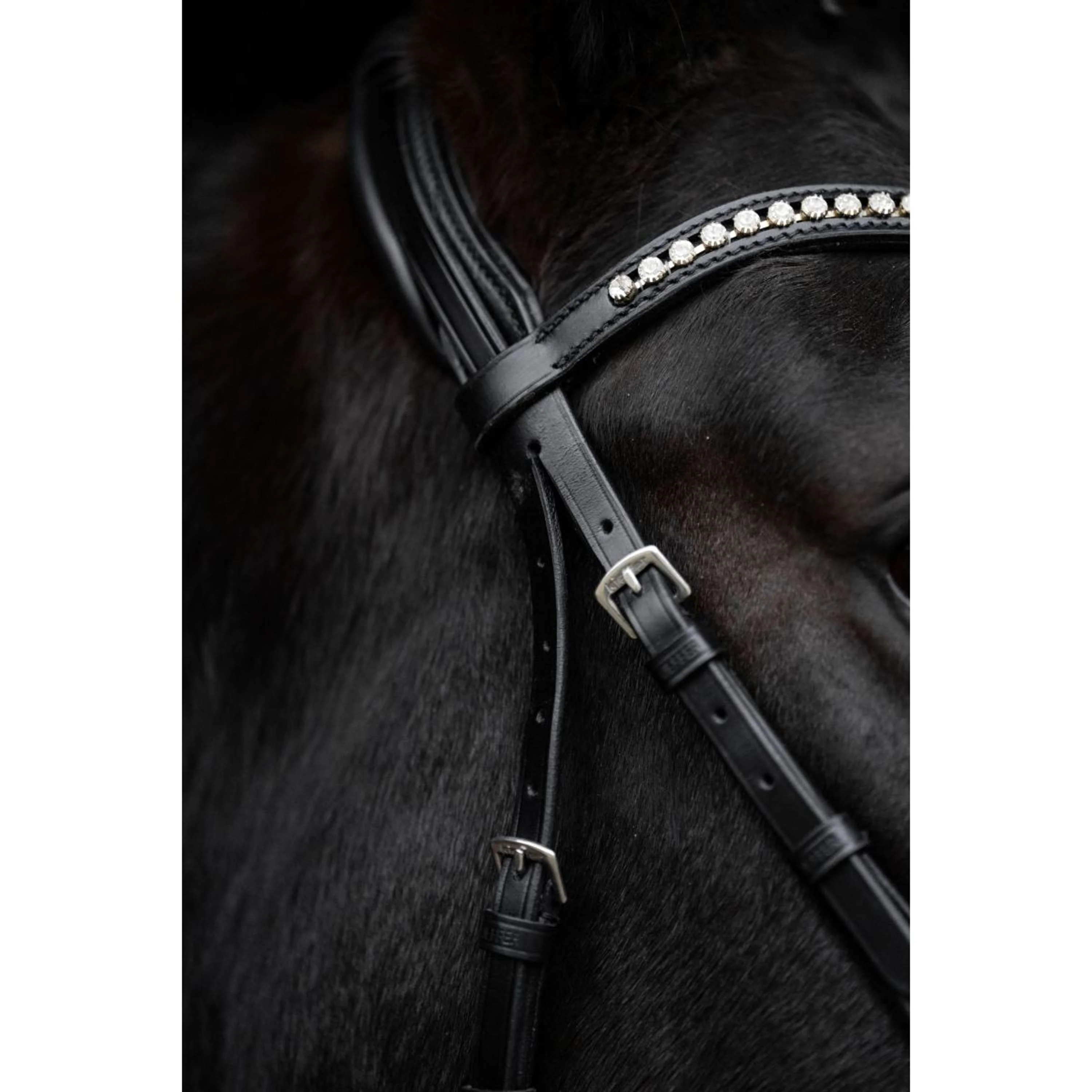 Kieffer Bridon Comfort Paris Anglais Muserolle avec Noseband, Noir Technique, Vernis, 35mm Noir/Blanc - Image 5