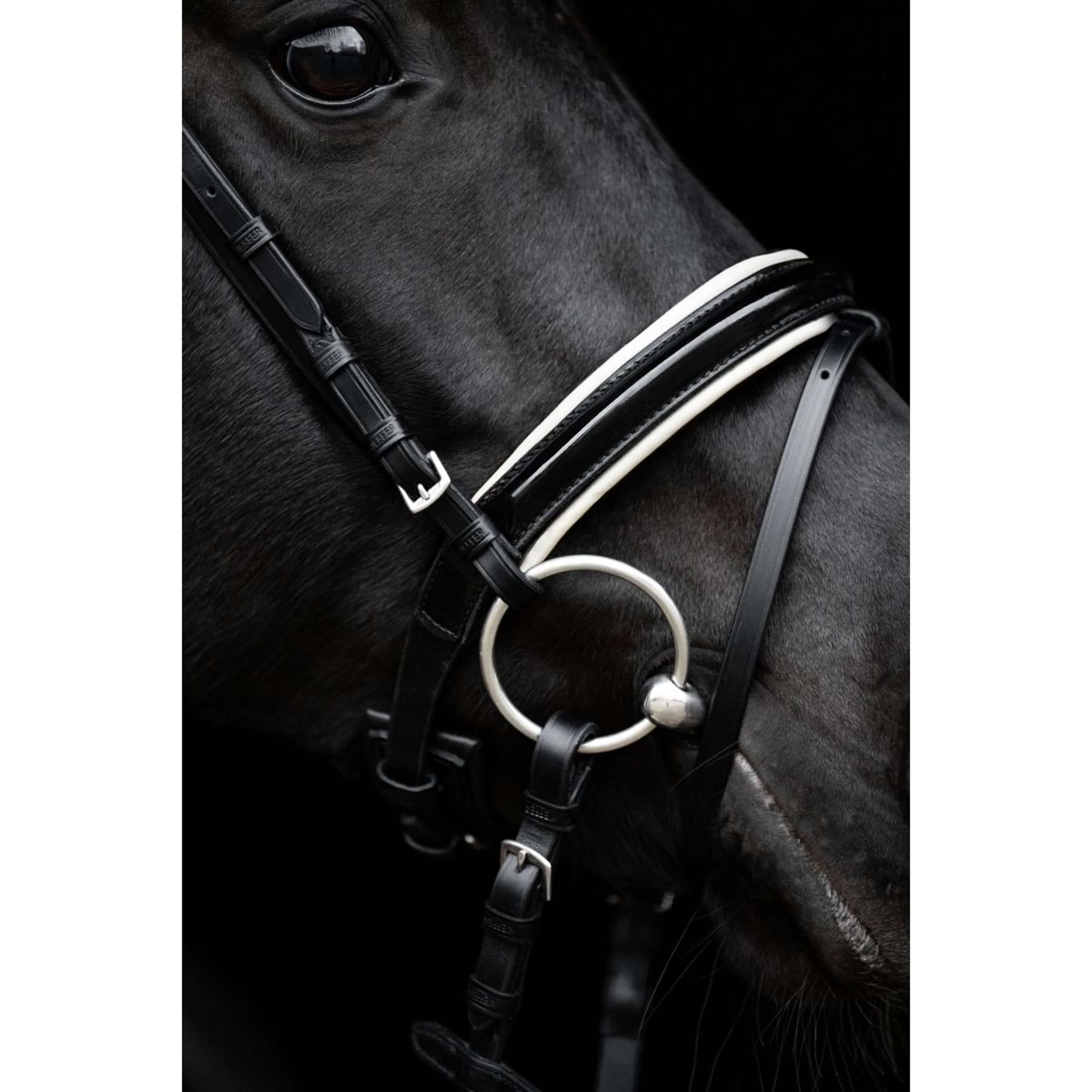 Kieffer Bridon Comfort Paris Anglais Muserolle avec Noseband, Noir Technique, Vernis, 35mm Noir/Blanc - Image 6