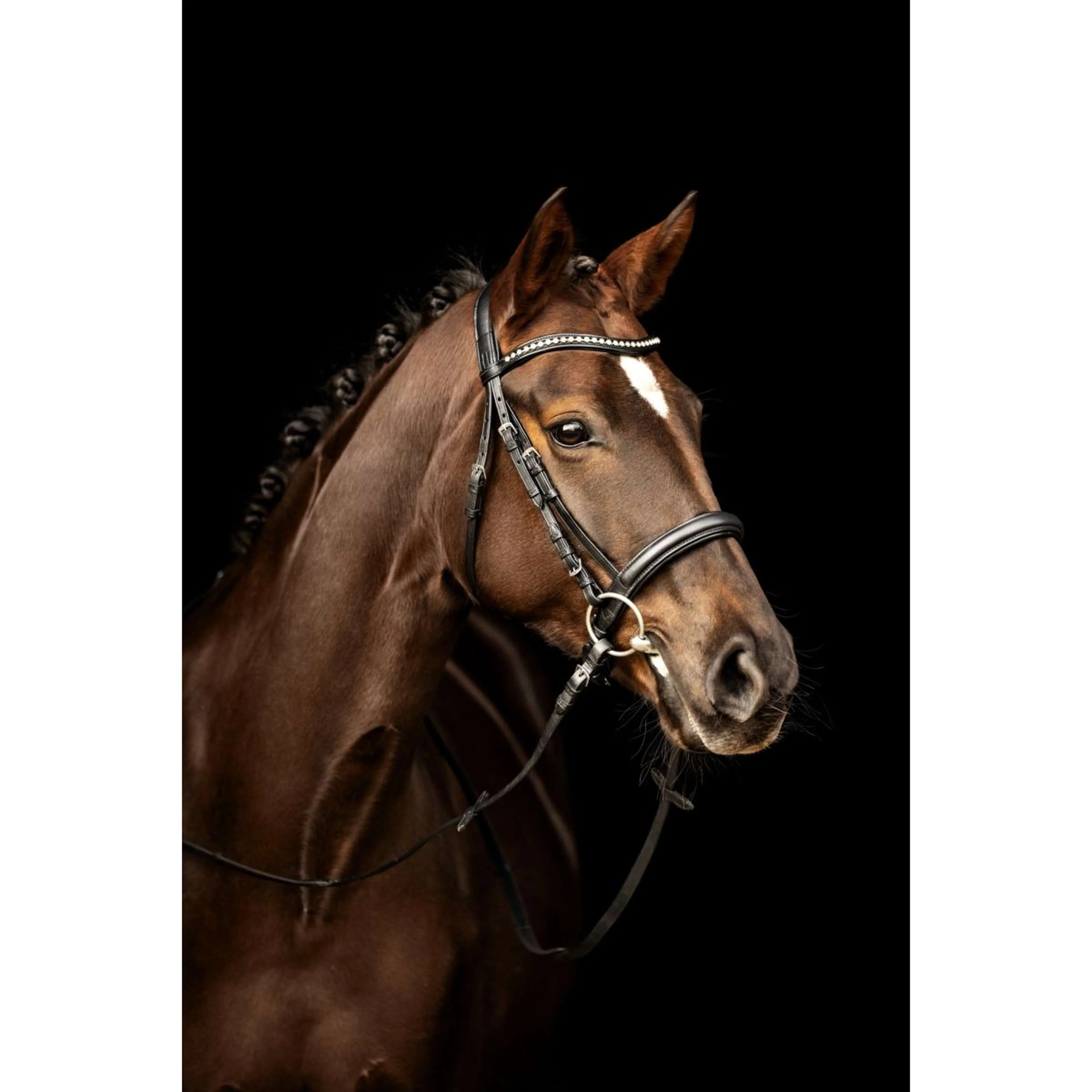 Kieffer Bridon Ultrasoft Sue avec des Cristaux Noir/Blanc - Image 2