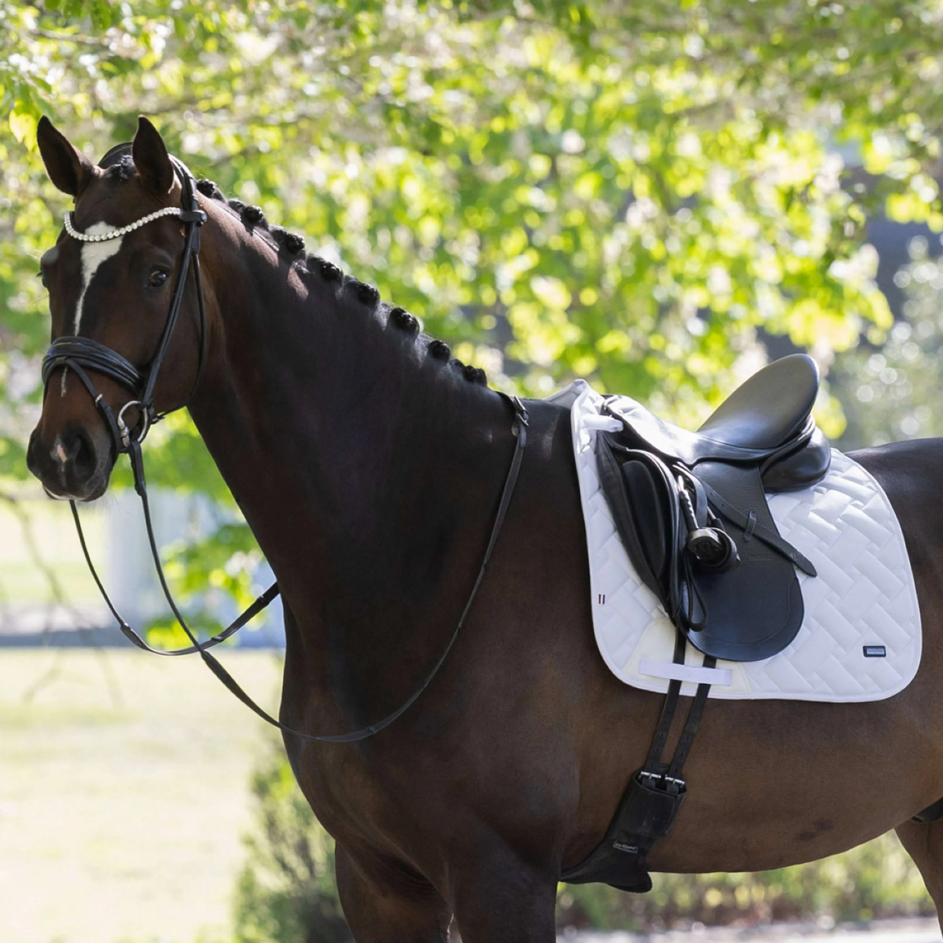 Kingsland Tapis de Selle KLLexie Dressage Blanc - Image 2