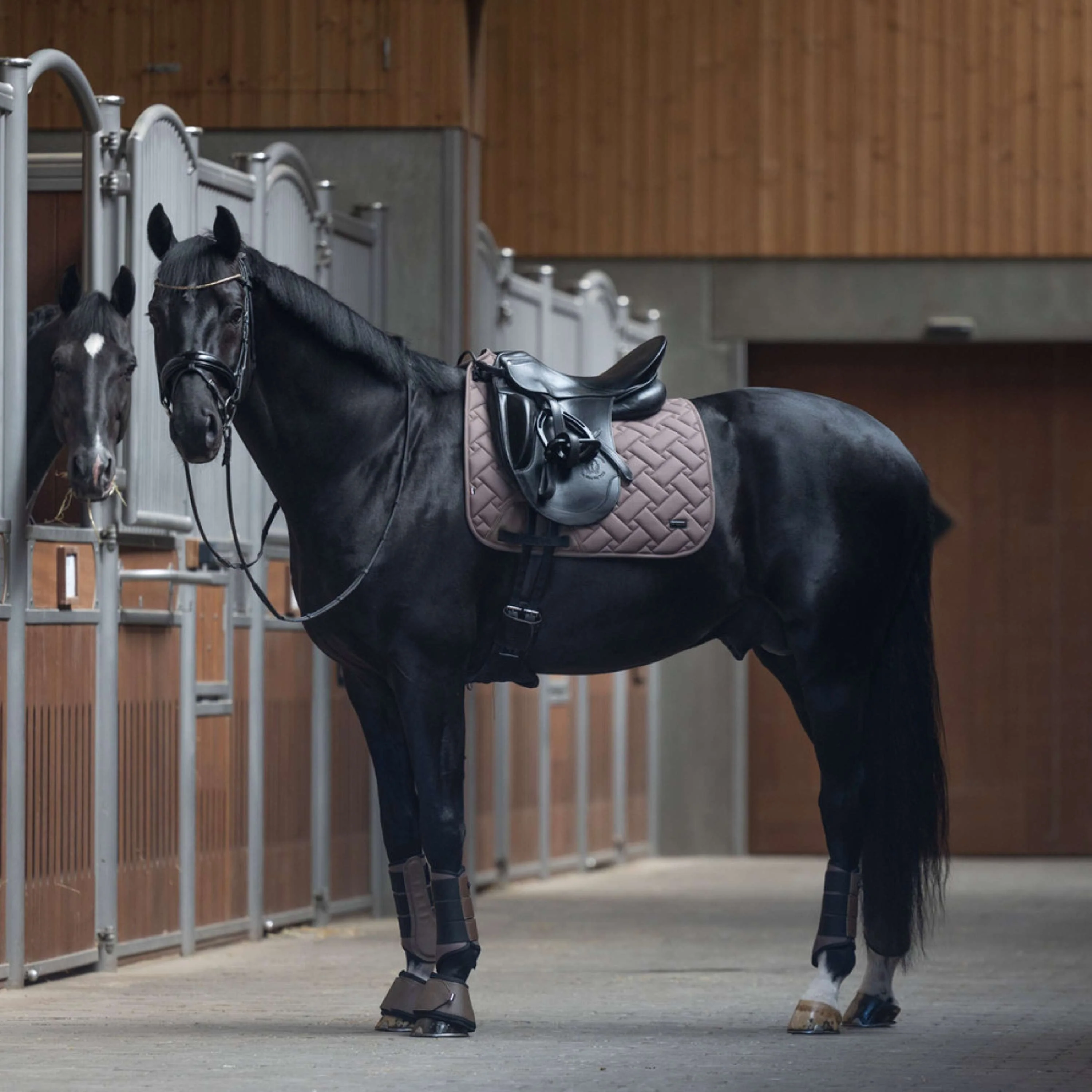 Kingsland Tapis de Selle KLLexie Dressage Brown Iron - Image 2