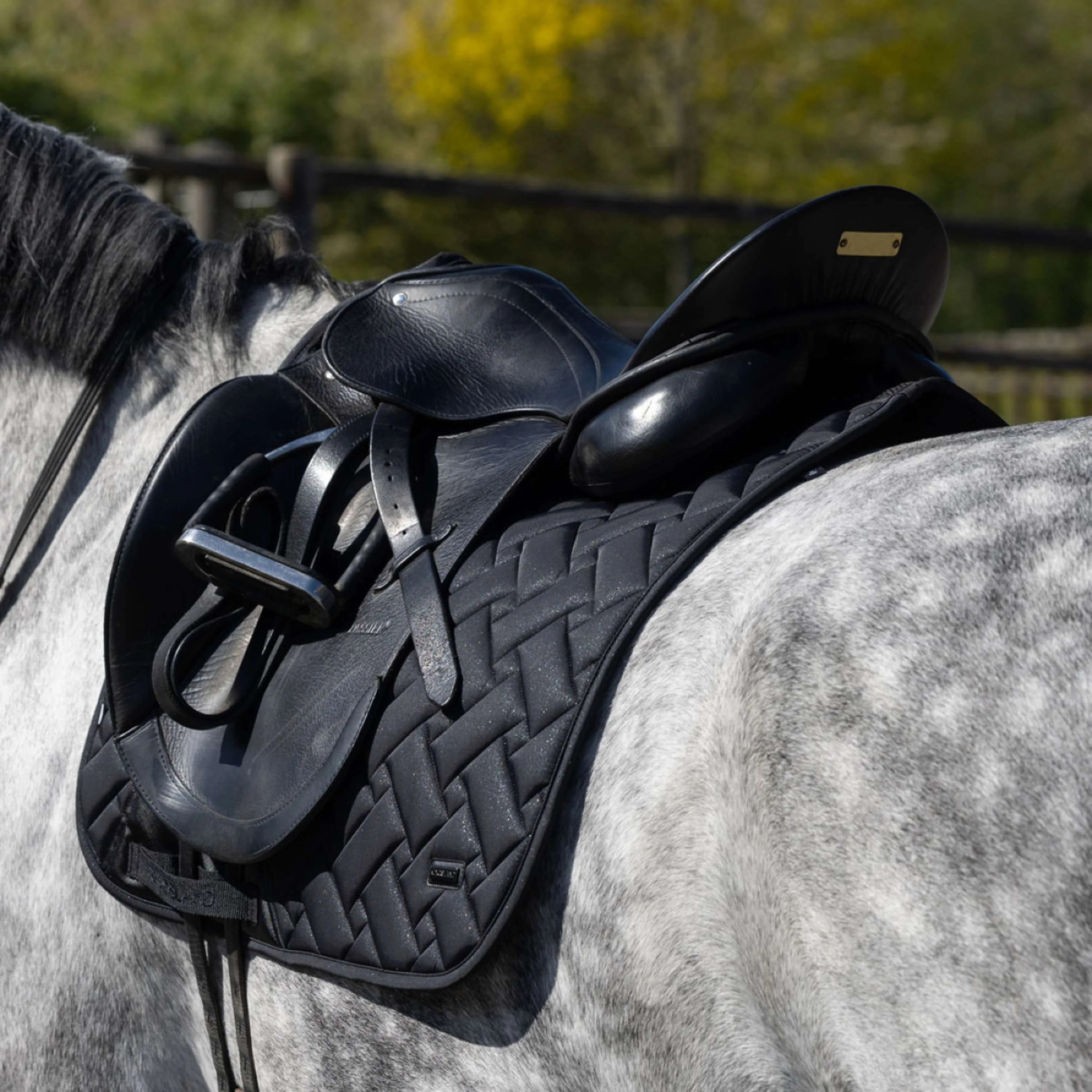 Kingsland Tapis de Selle KLLexie Dressage Noir - Image 2