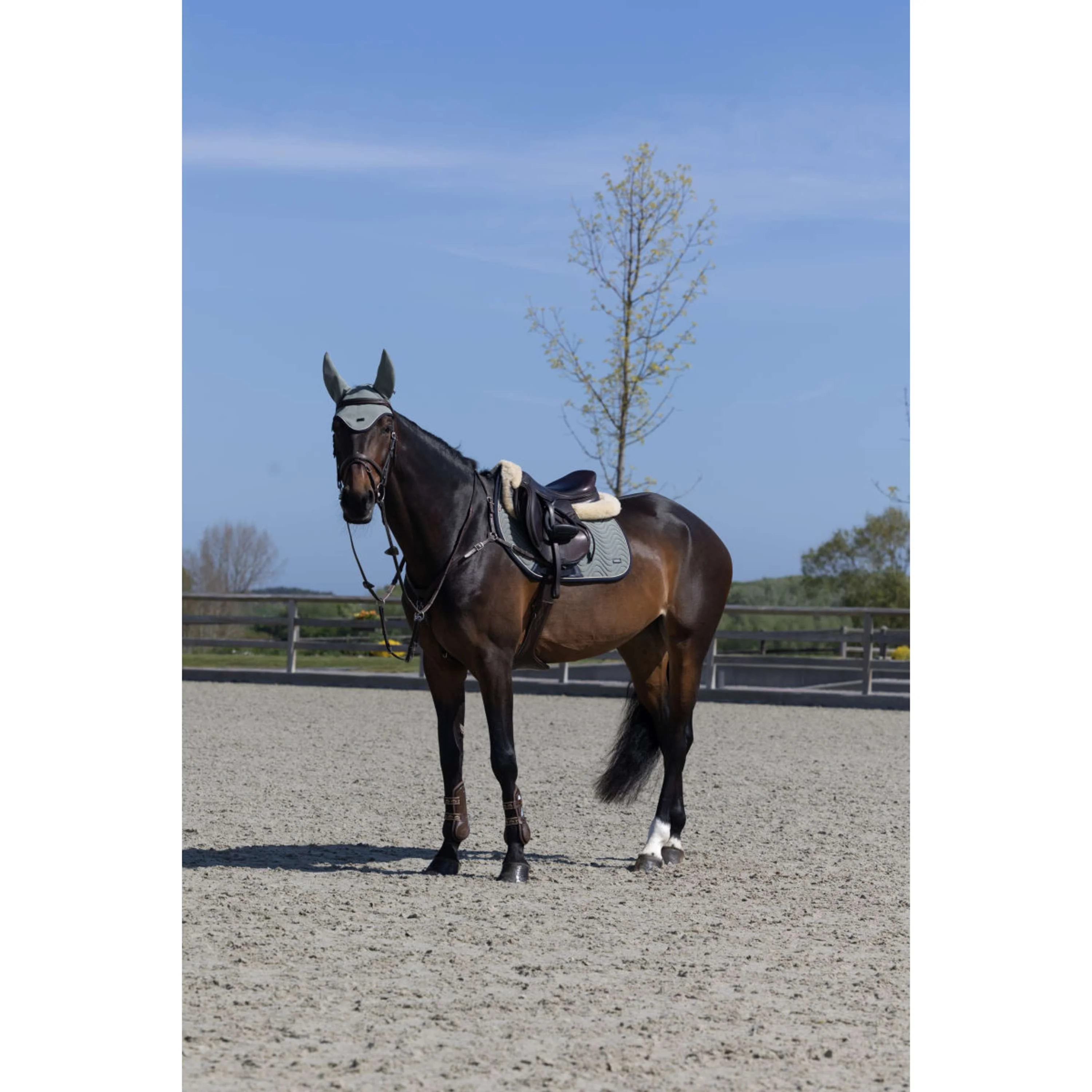 Kingsland Tapis de Selle KLLucca Cooling de Saut Green Agave - Image 6