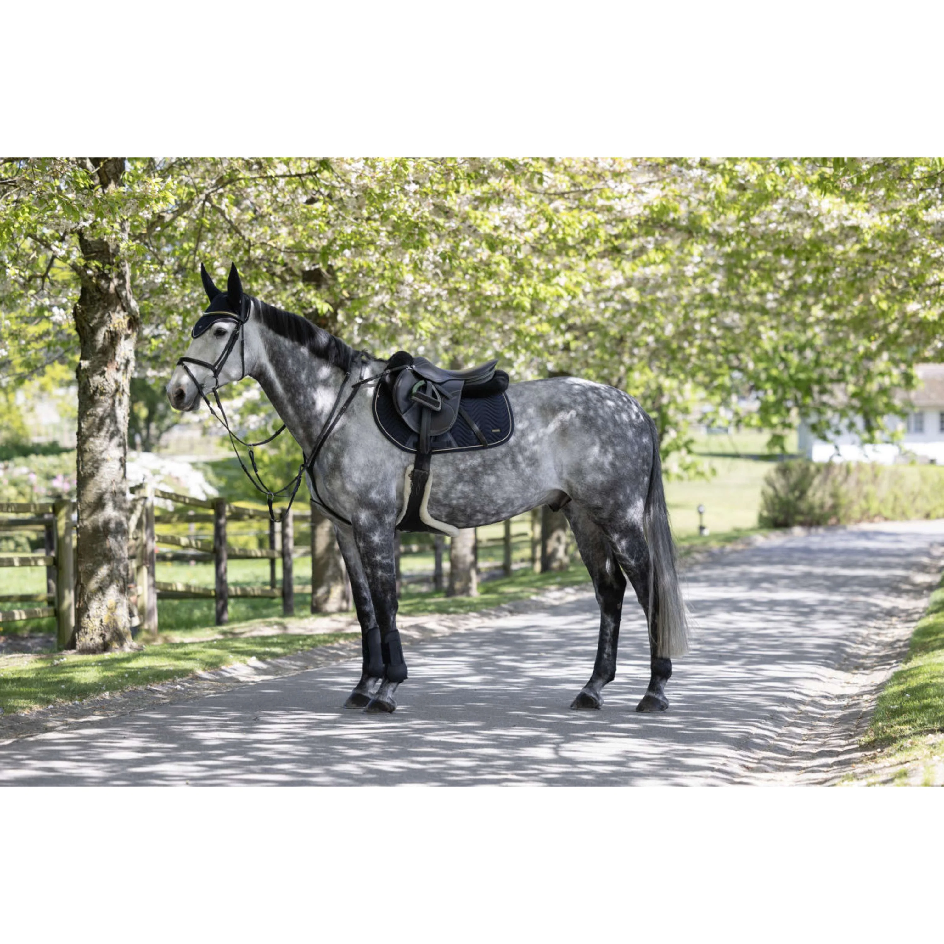 Kingsland Tapis de Selle KLLucca Cooling de Saut Marin - Image 5