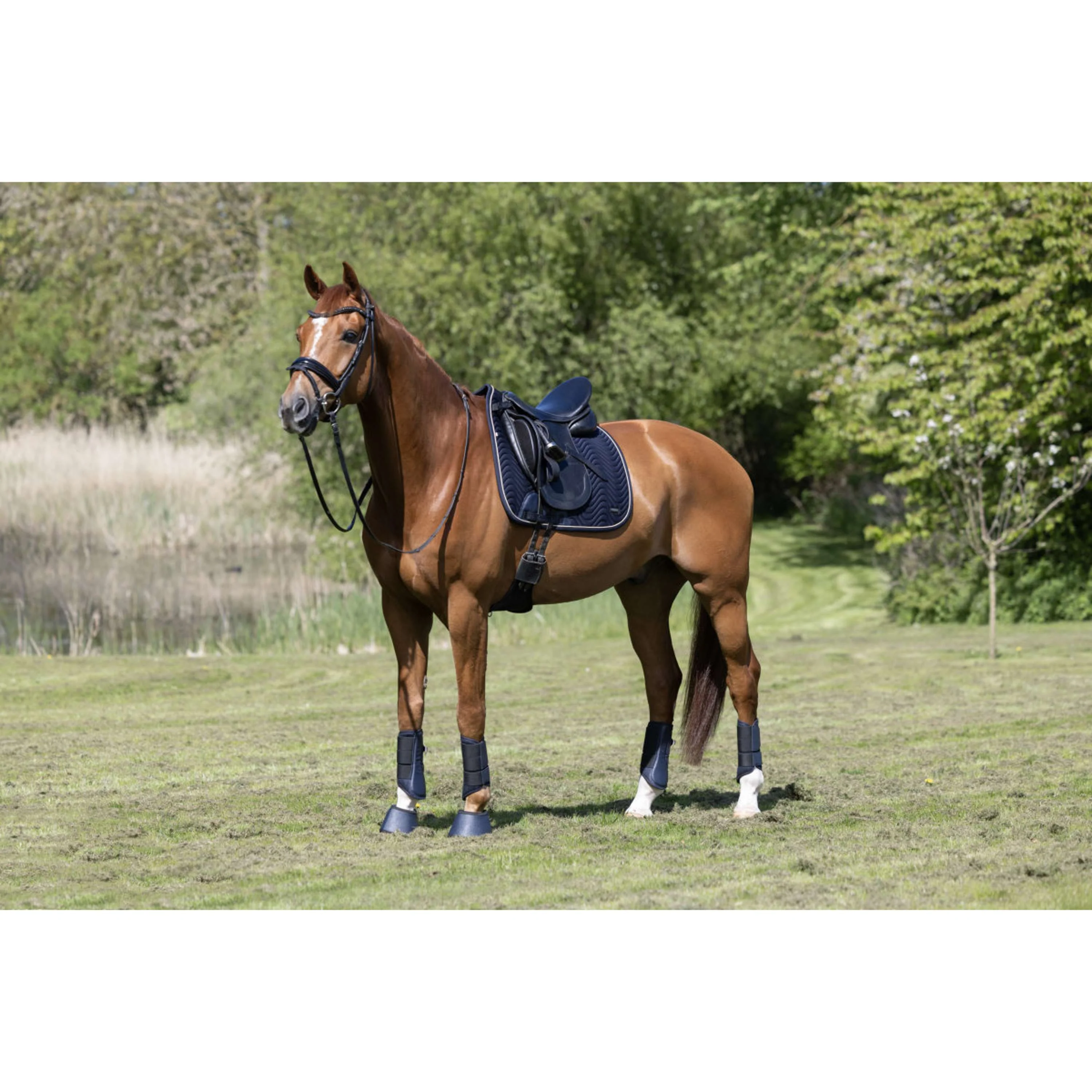 Kingsland Tapis de Selle KLLucca Cooling Dressage Marin - Image 4