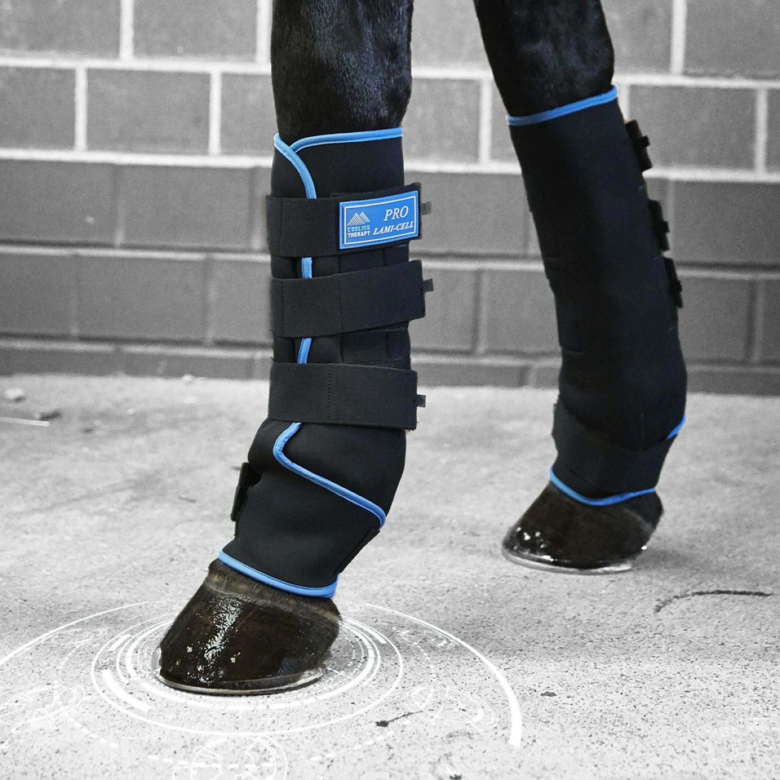 Lami-Cell Ice Boots Noir/Bleu - Image 3