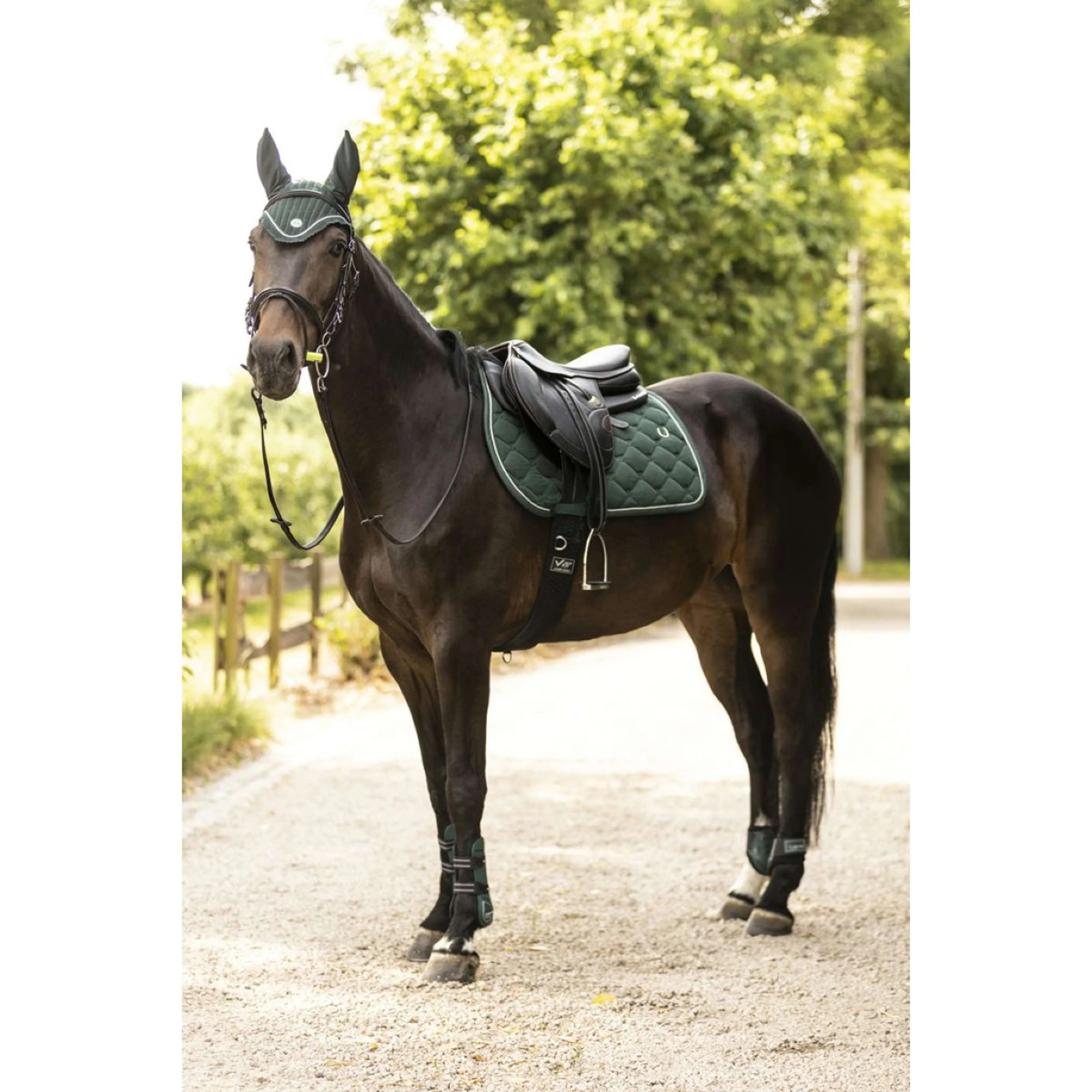 Lami-Cell Tapis de Selle LC Polyvalent Vert Foncé - Image 3