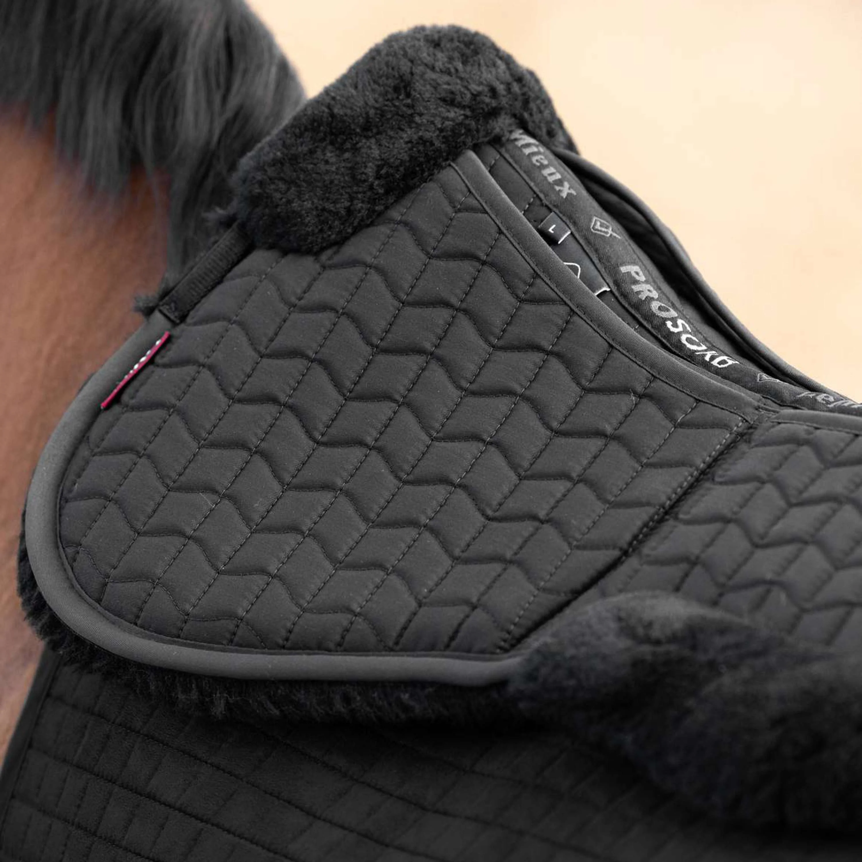 LeMieux Amortisseur ProLambs Pro-Sorb Noir/Noir - Image 4