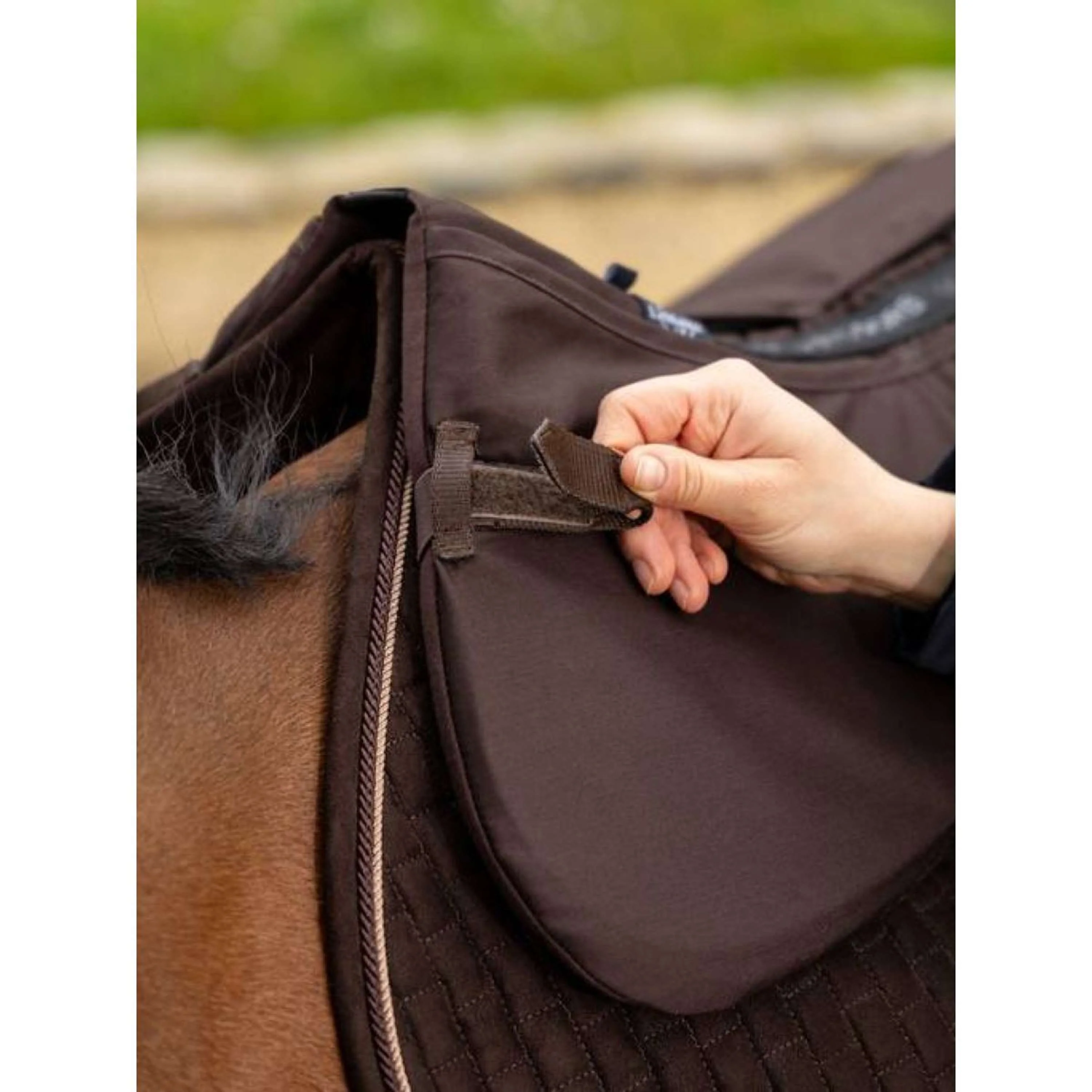 LeMieux Amortisseur Prosorb 2 Pocket Marron - Image 2