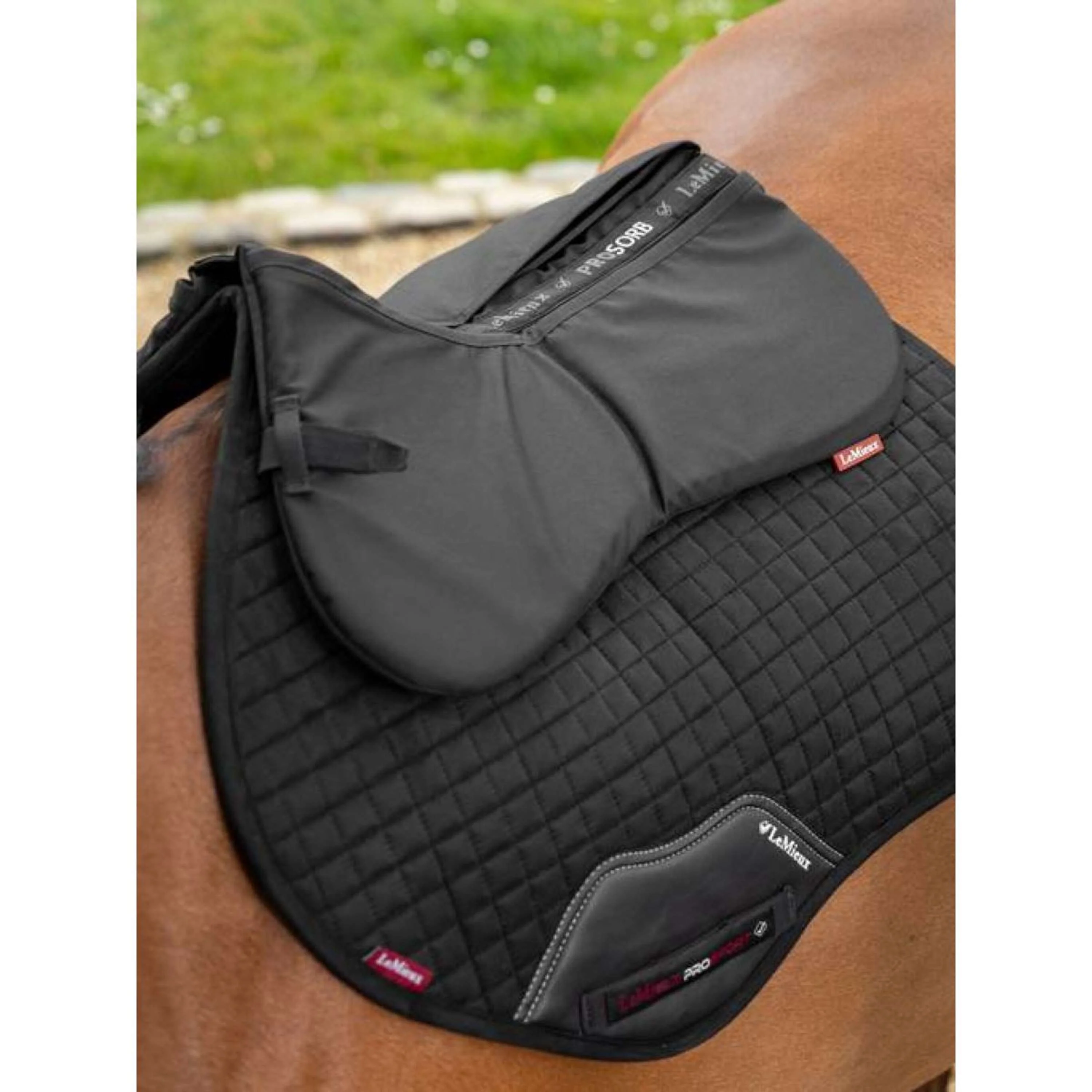 LeMieux Amortisseur Prosorb 2 Pocket Noir - Image 2