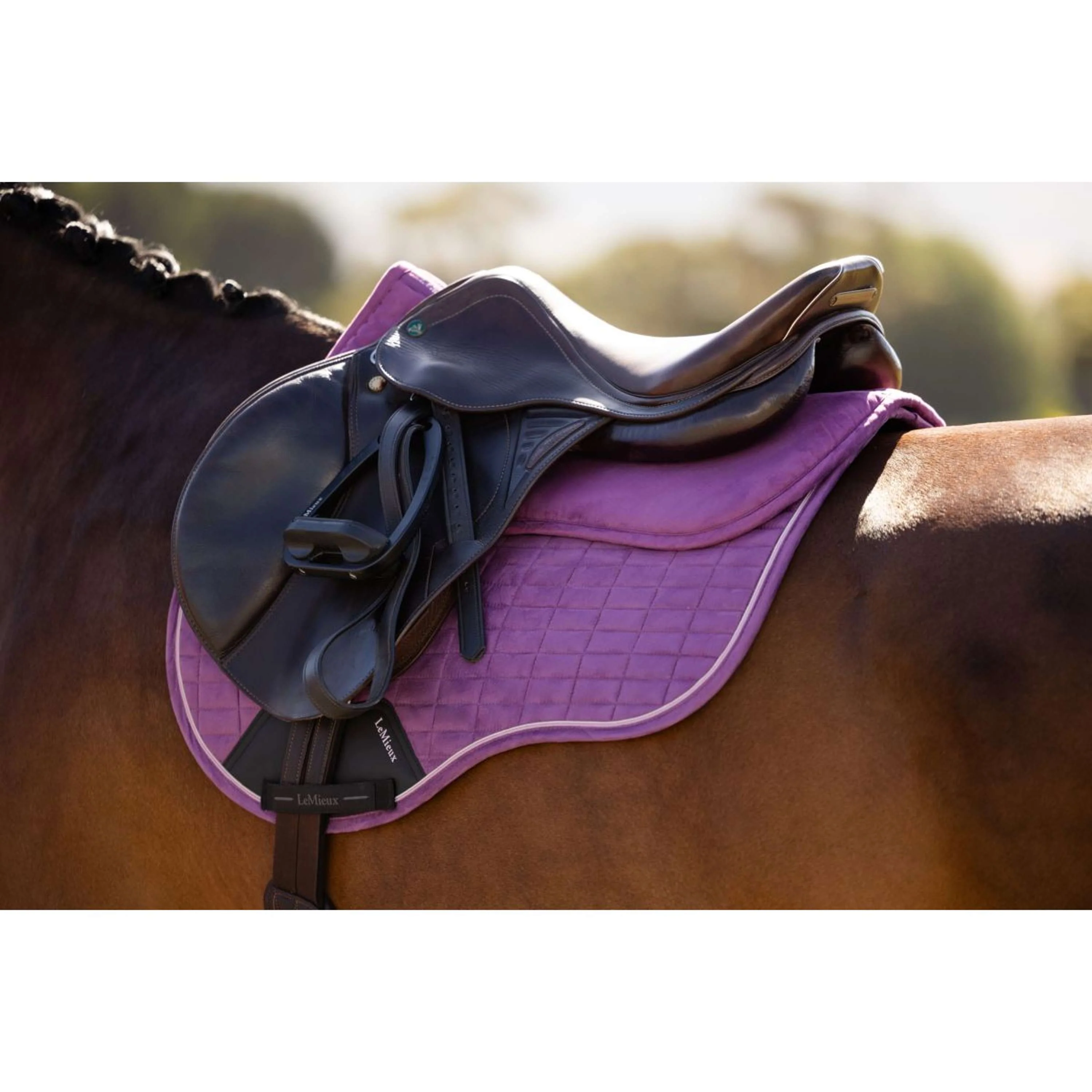 LeMieux Amortisseur Suede Mallow - Image 4