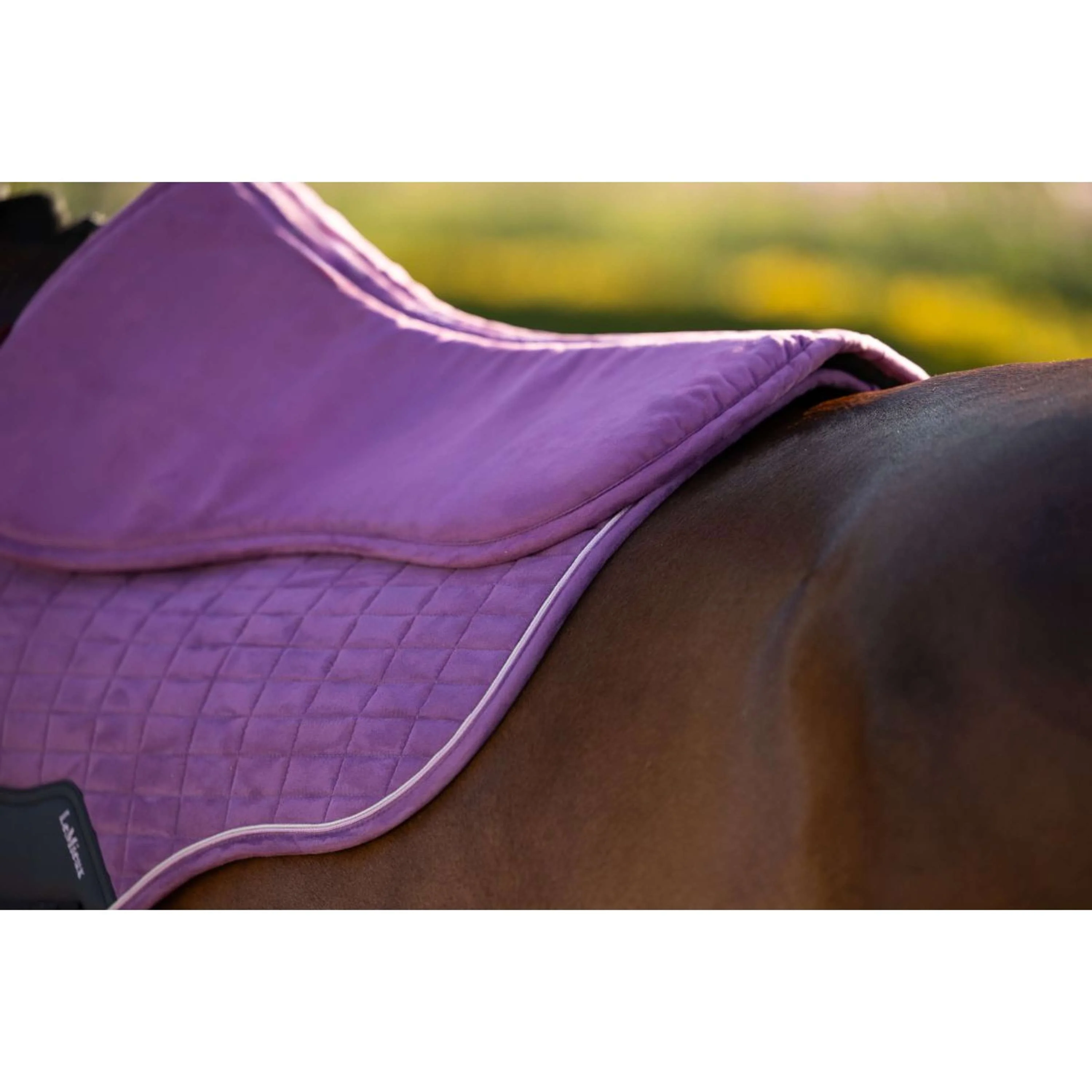 LeMieux Amortisseur Suede Mallow - Image 5