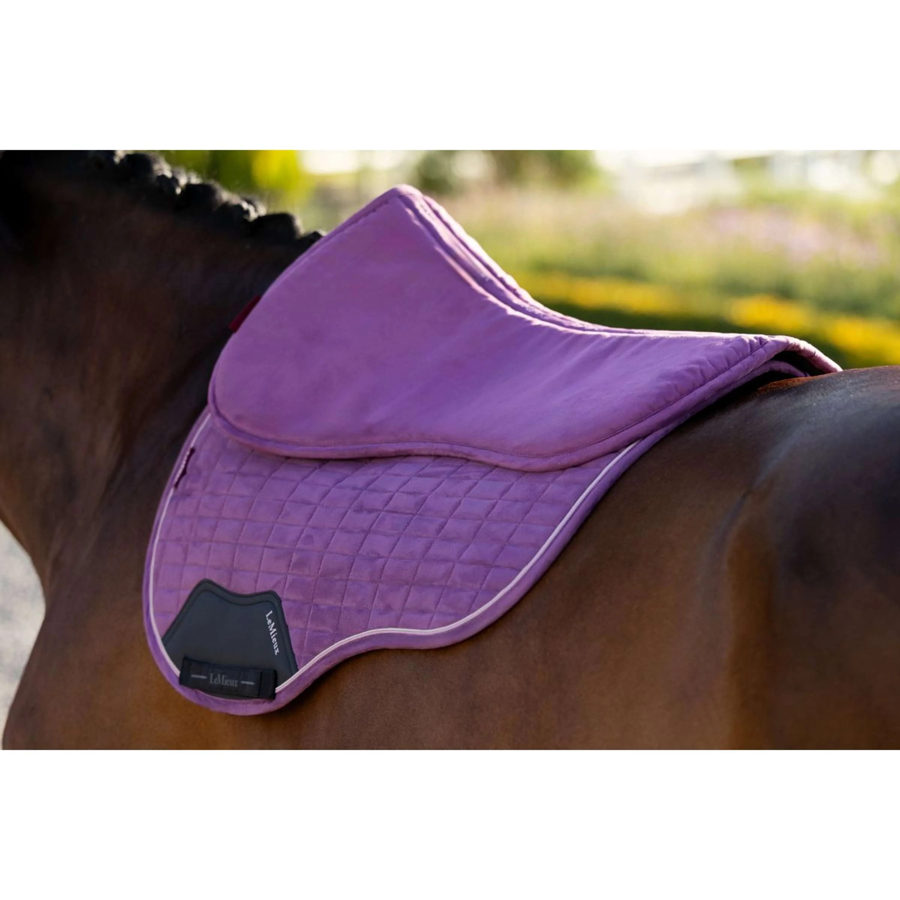 LeMieux Amortisseur Suede Mallow - Image 6