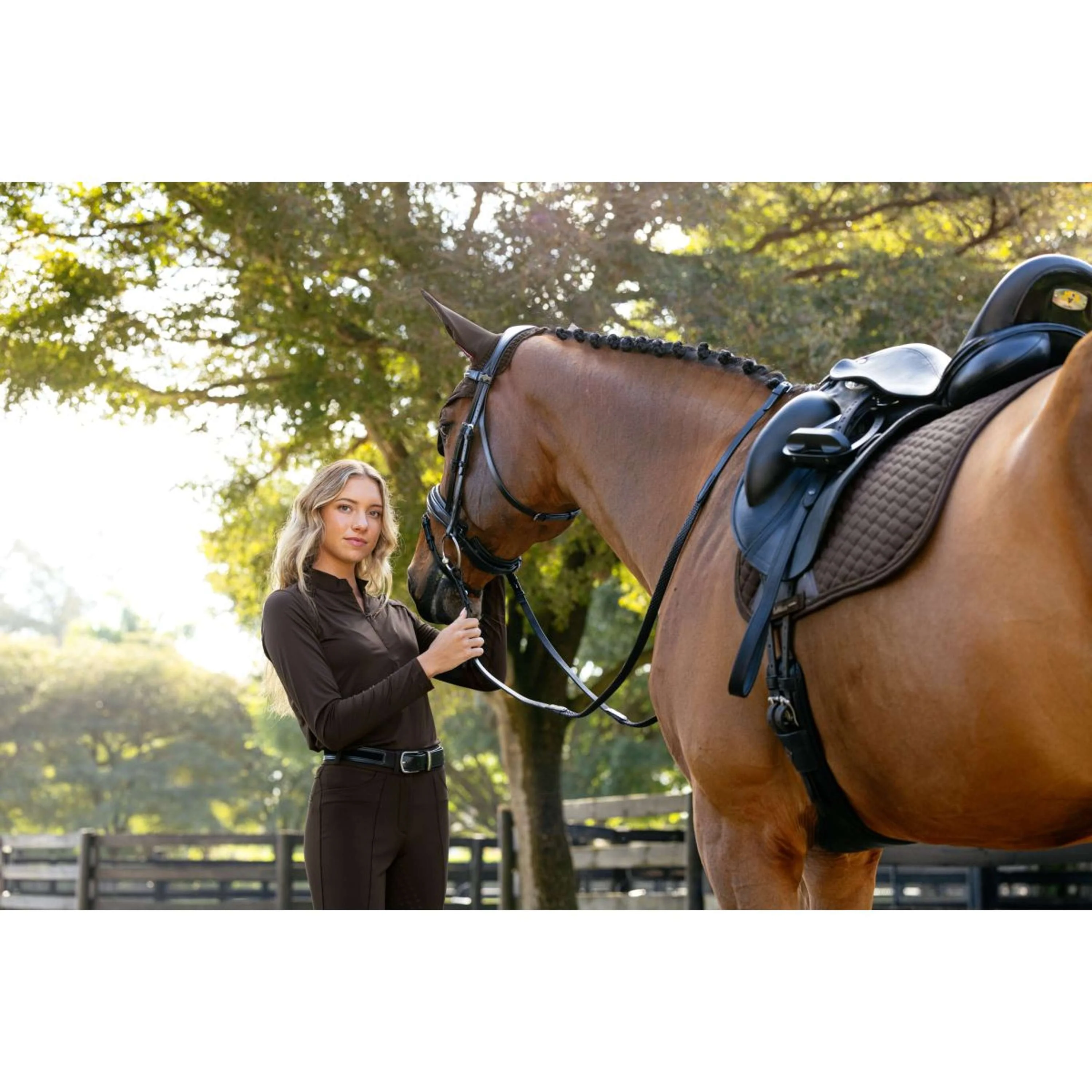 LeMieux Baselayer Brilliance Heyden Lightweight Espresso - Image 7