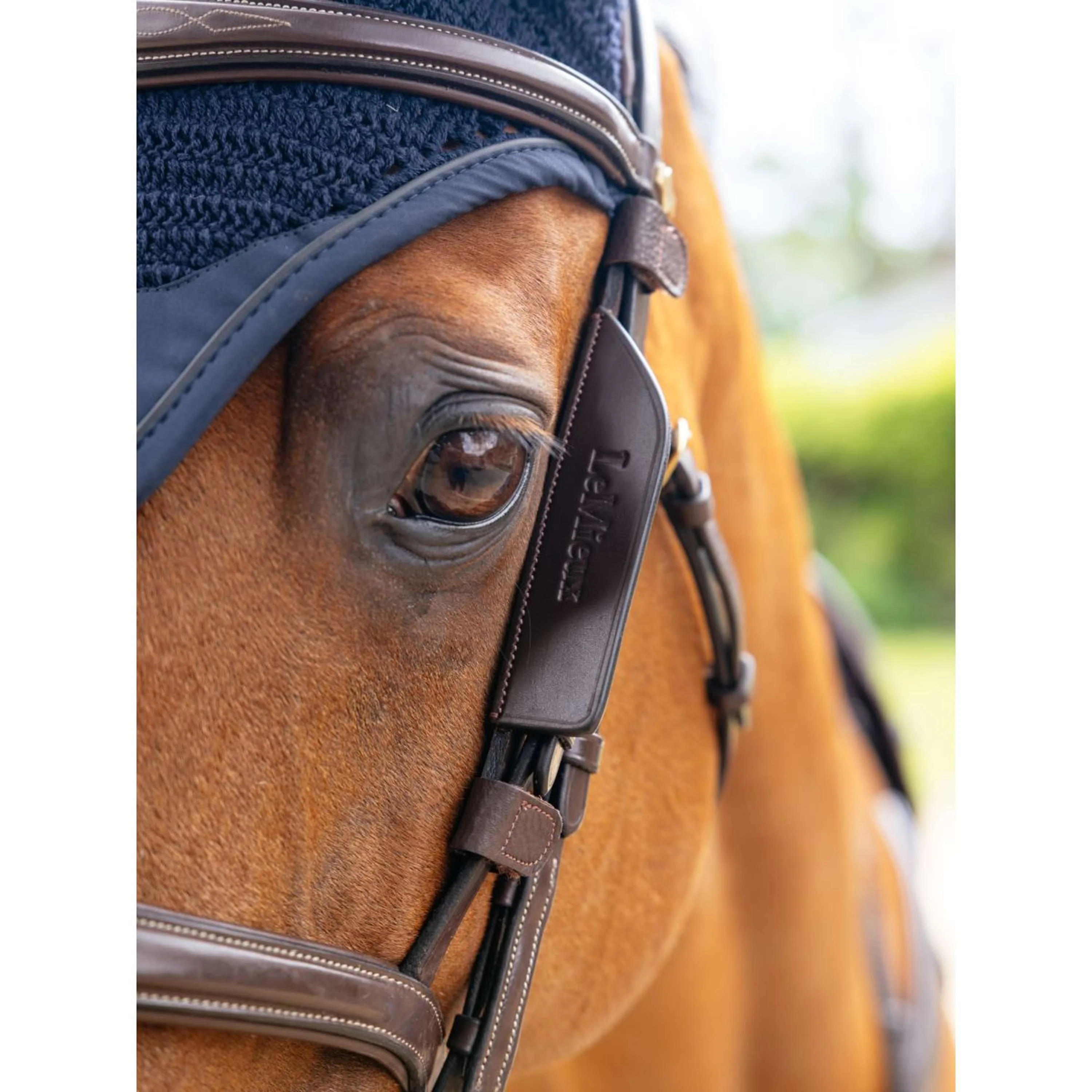 LeMieux Blinker Leather Havane - Image 2