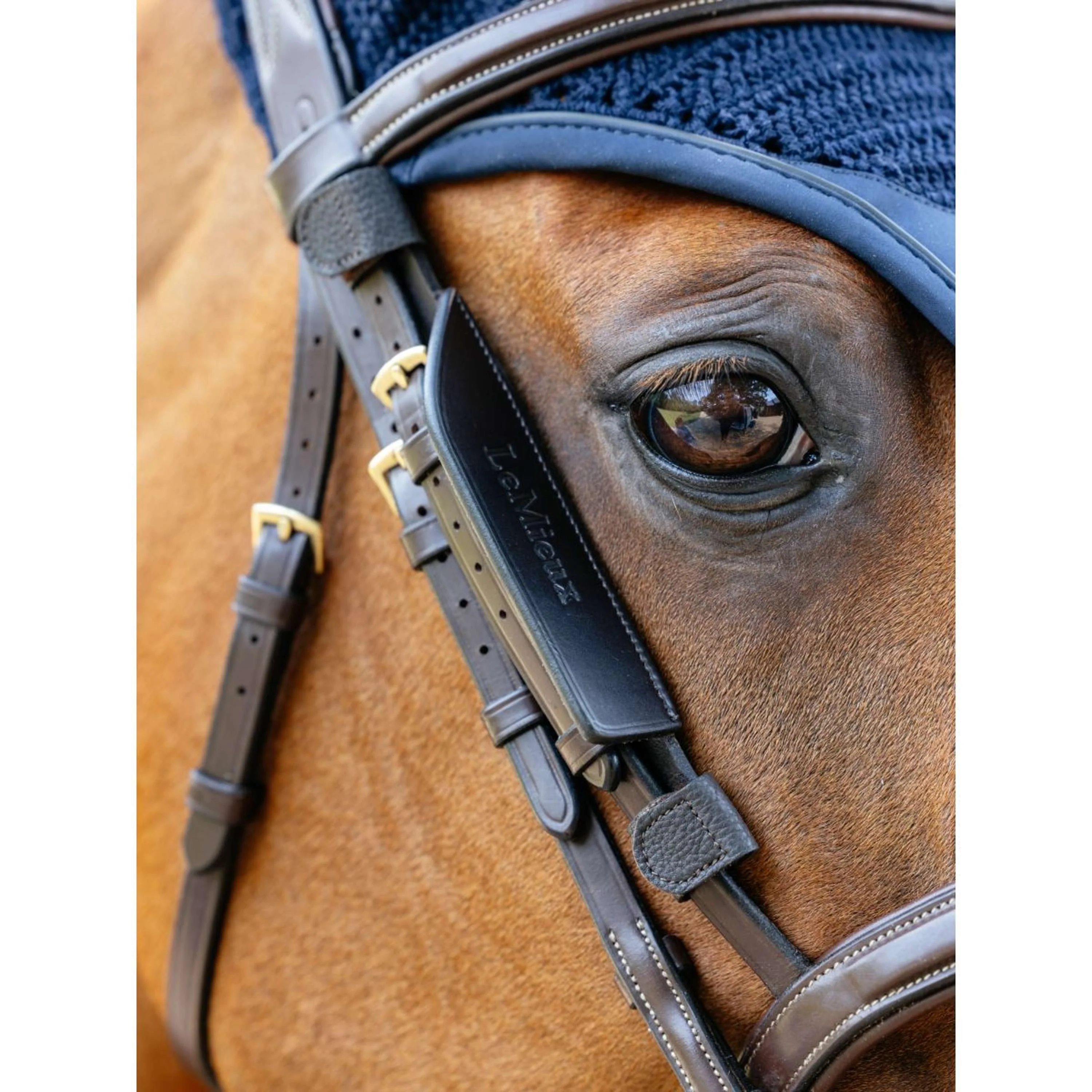 LeMieux Blinker Leather Marron - Image 2