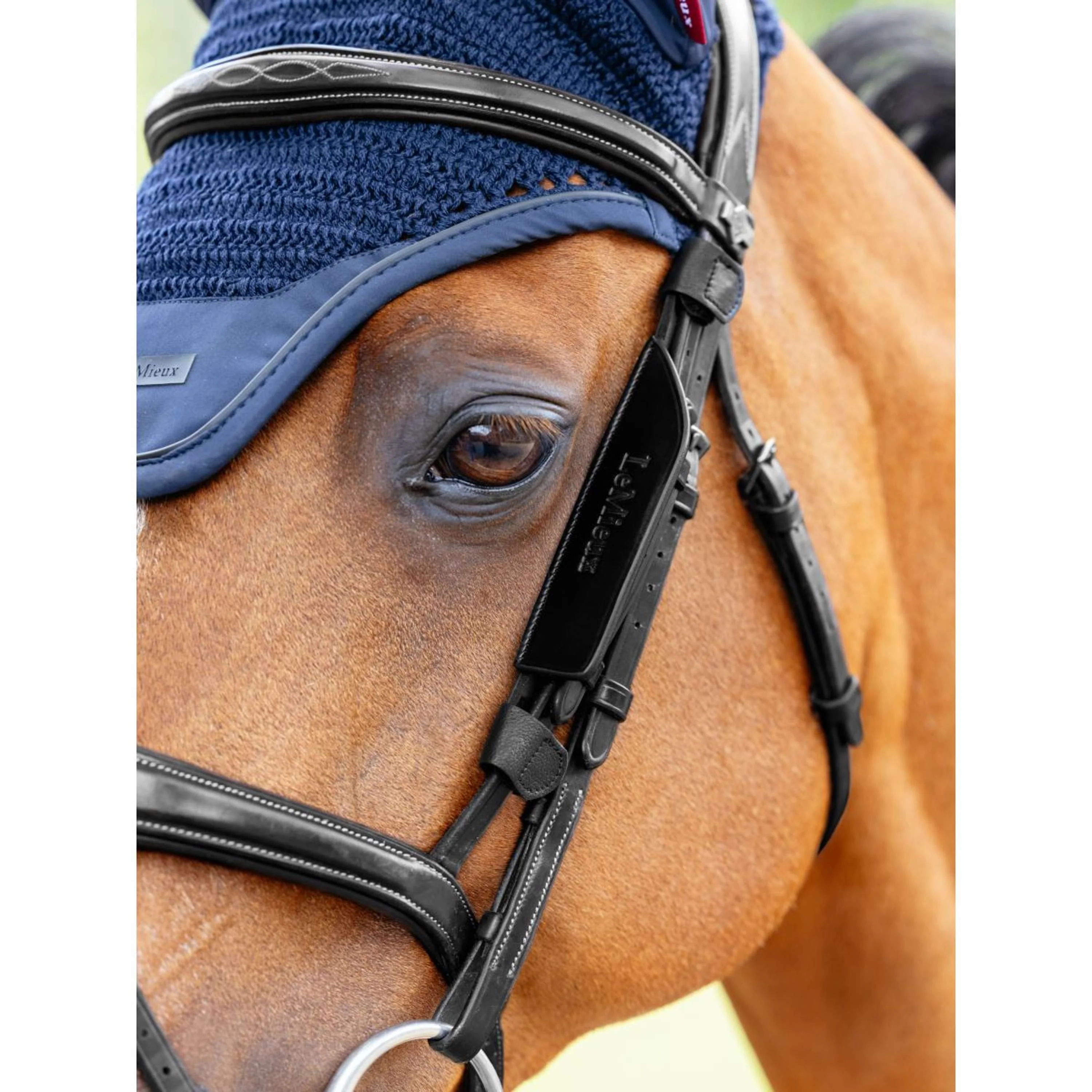 LeMieux Blinker Leather Noir - Image 2