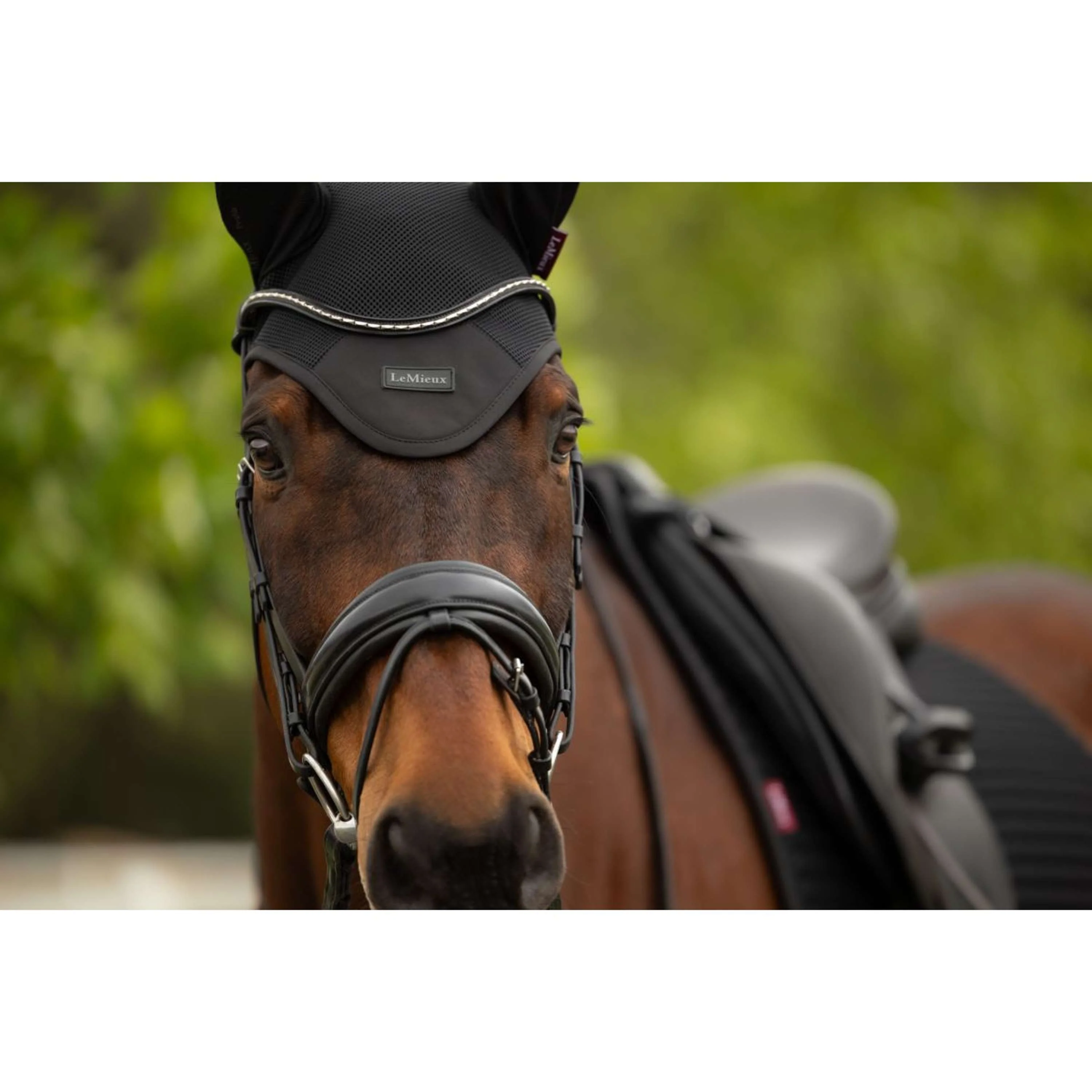 LeMieux Bonnet Anti-Mouches Air-Tek Mesh Noir - Image 5