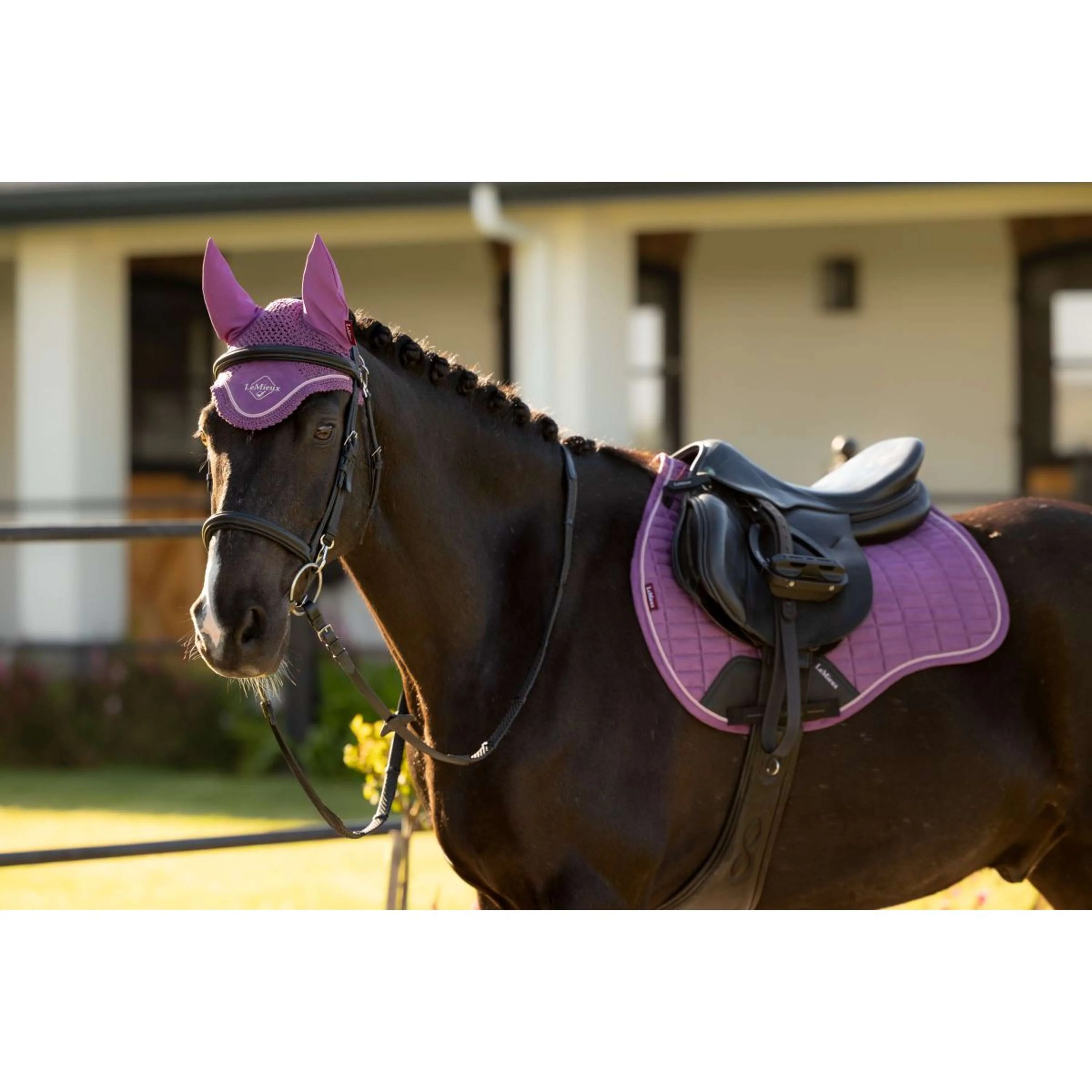 LeMieux Bonnet Anti-Mouches Classic Mallow - Image 2
