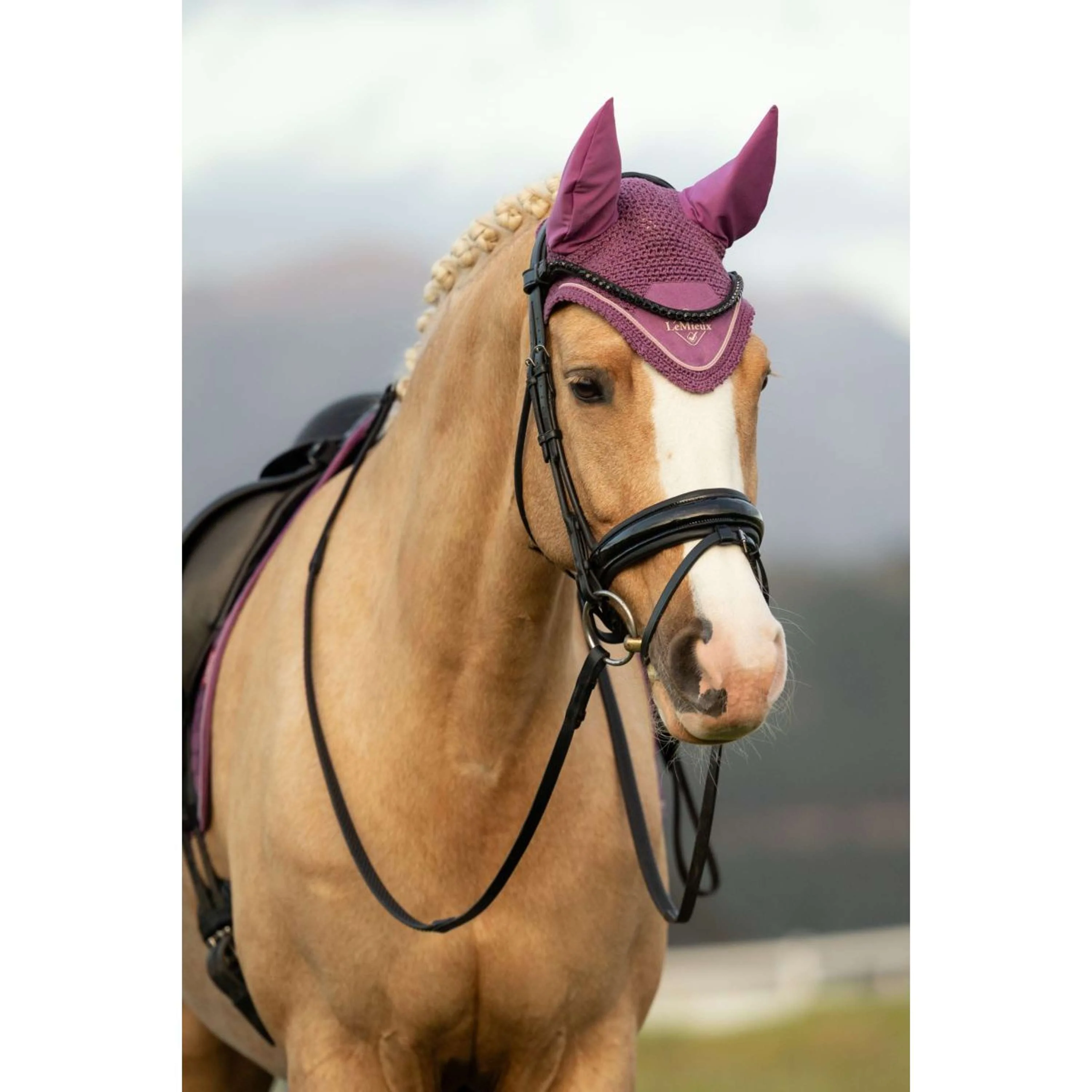 LeMieux Bonnet Anti-Mouches Classic Mallow - Image 5