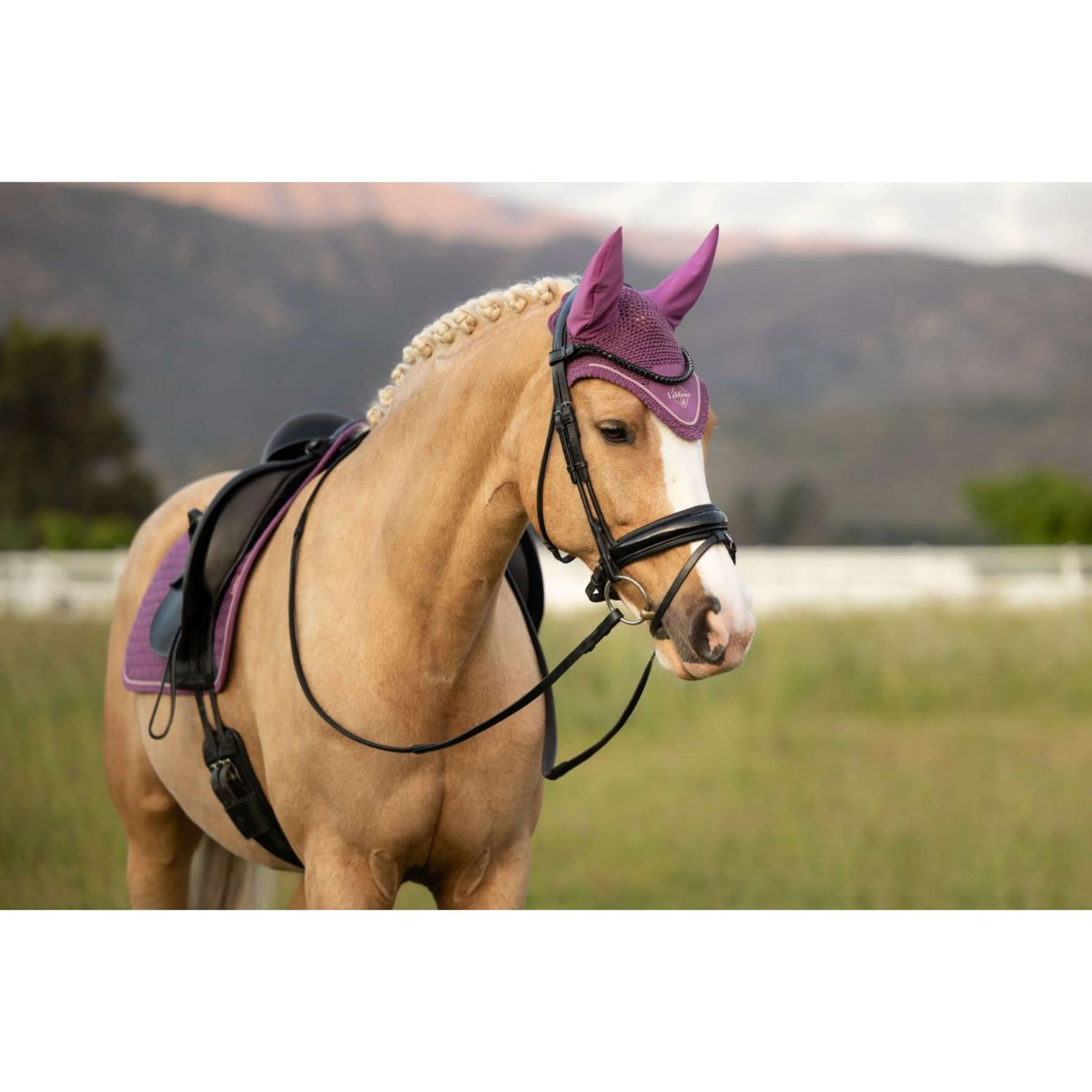LeMieux Bonnet Anti-Mouches Classic Mallow - Image 6