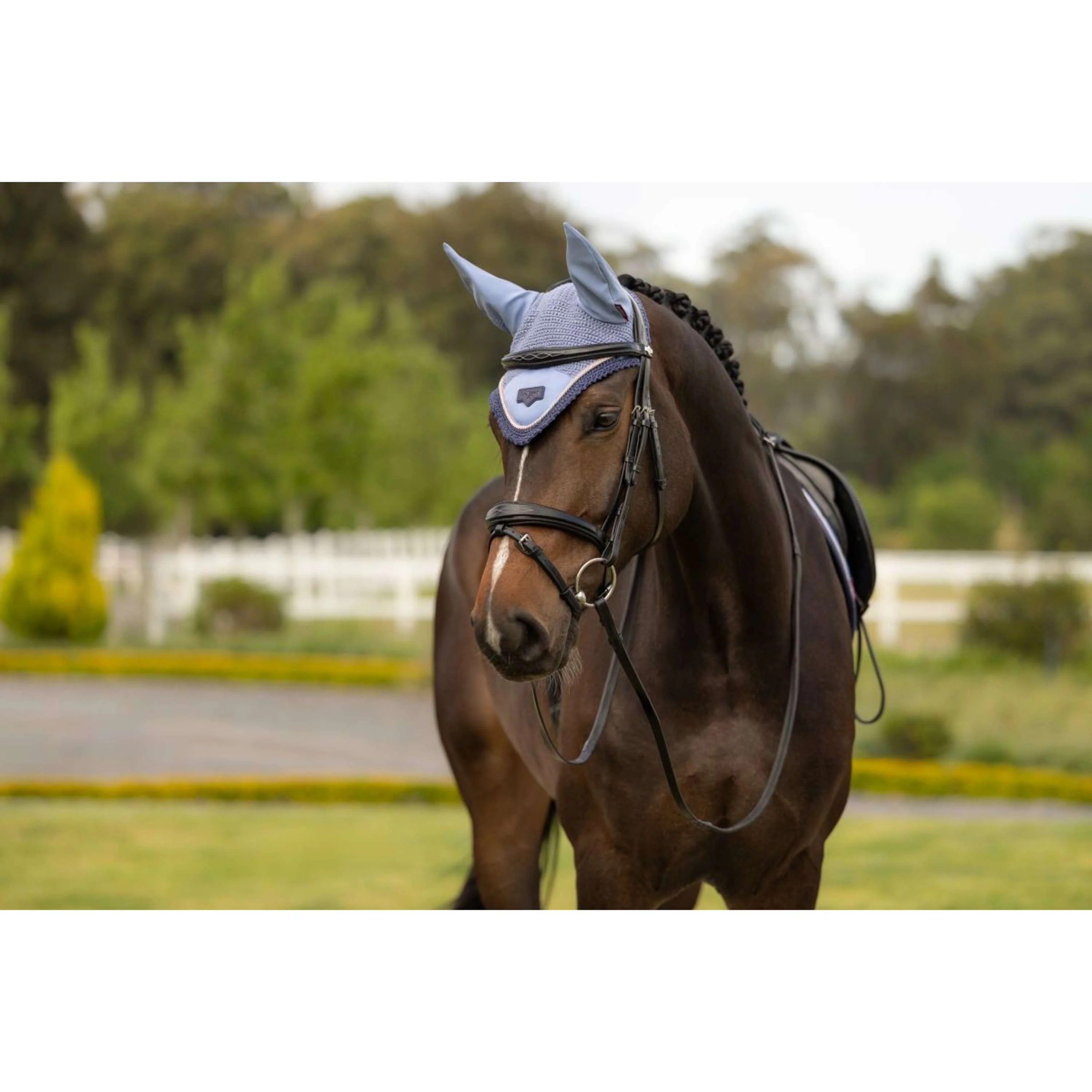 LeMieux Bonnet Anti-Mouches Loire Powder Blue - Image 2