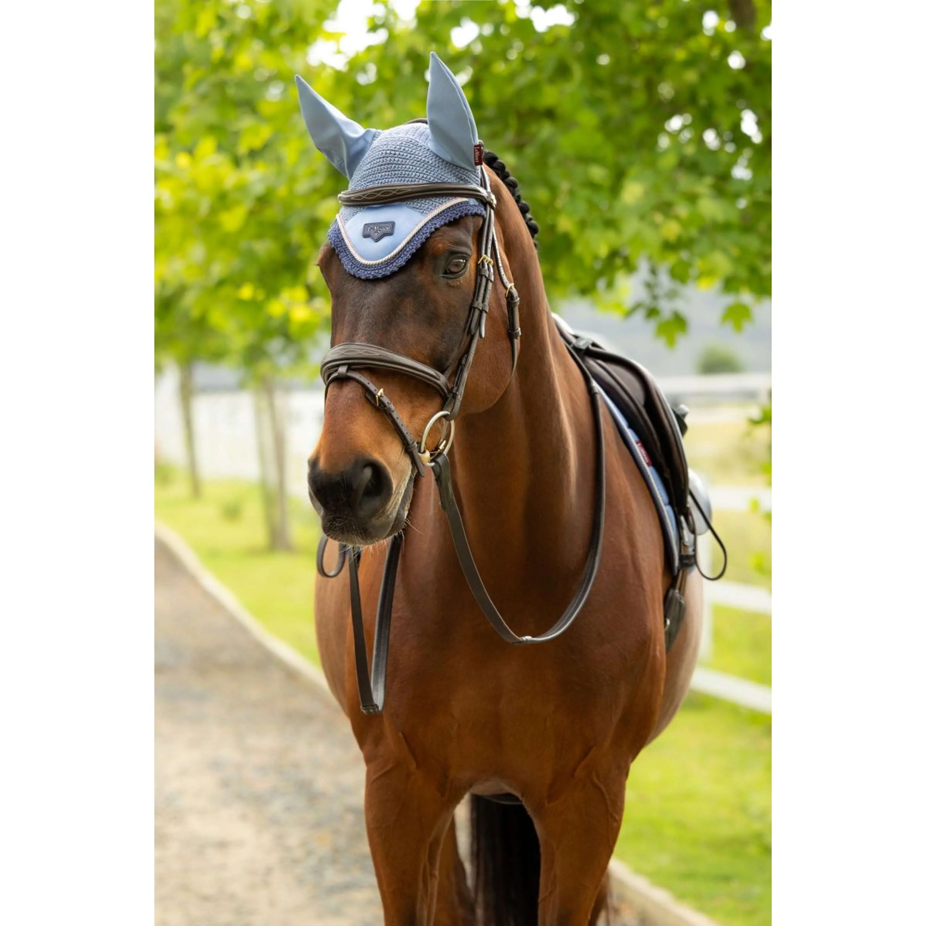 LeMieux Bonnet Anti-Mouches Loire Powder Blue - Image 3