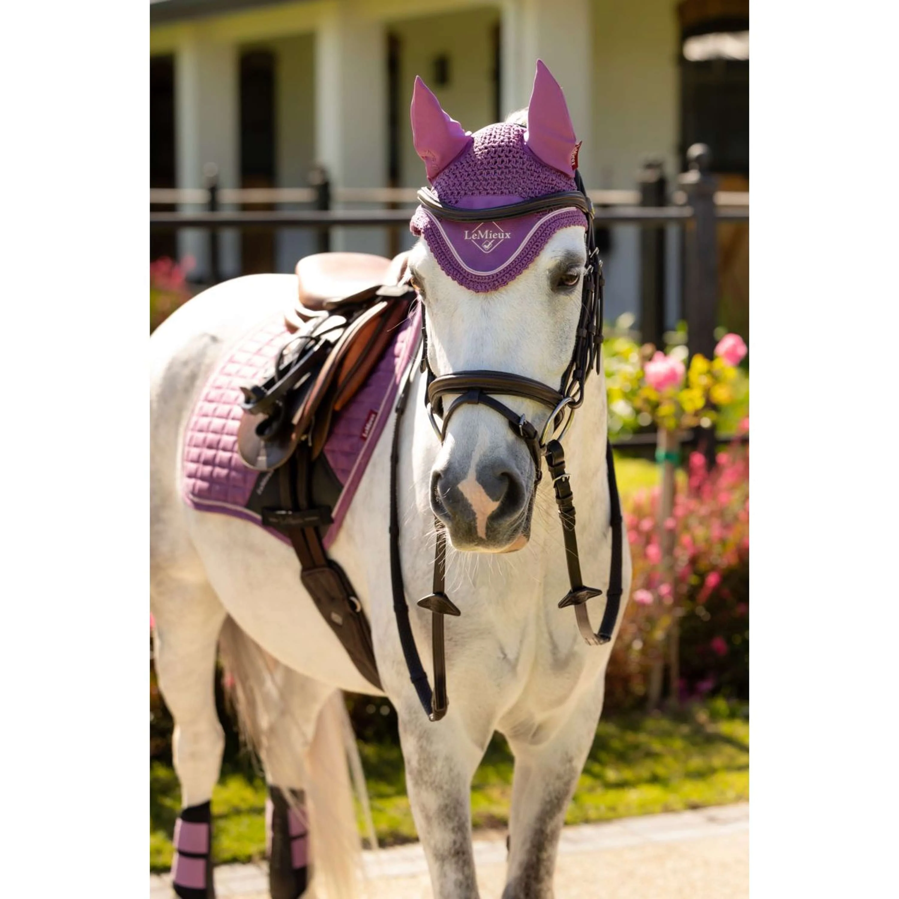 LeMieux Bonnet Anti-Mouches Mini Classic Mallow - Image 3