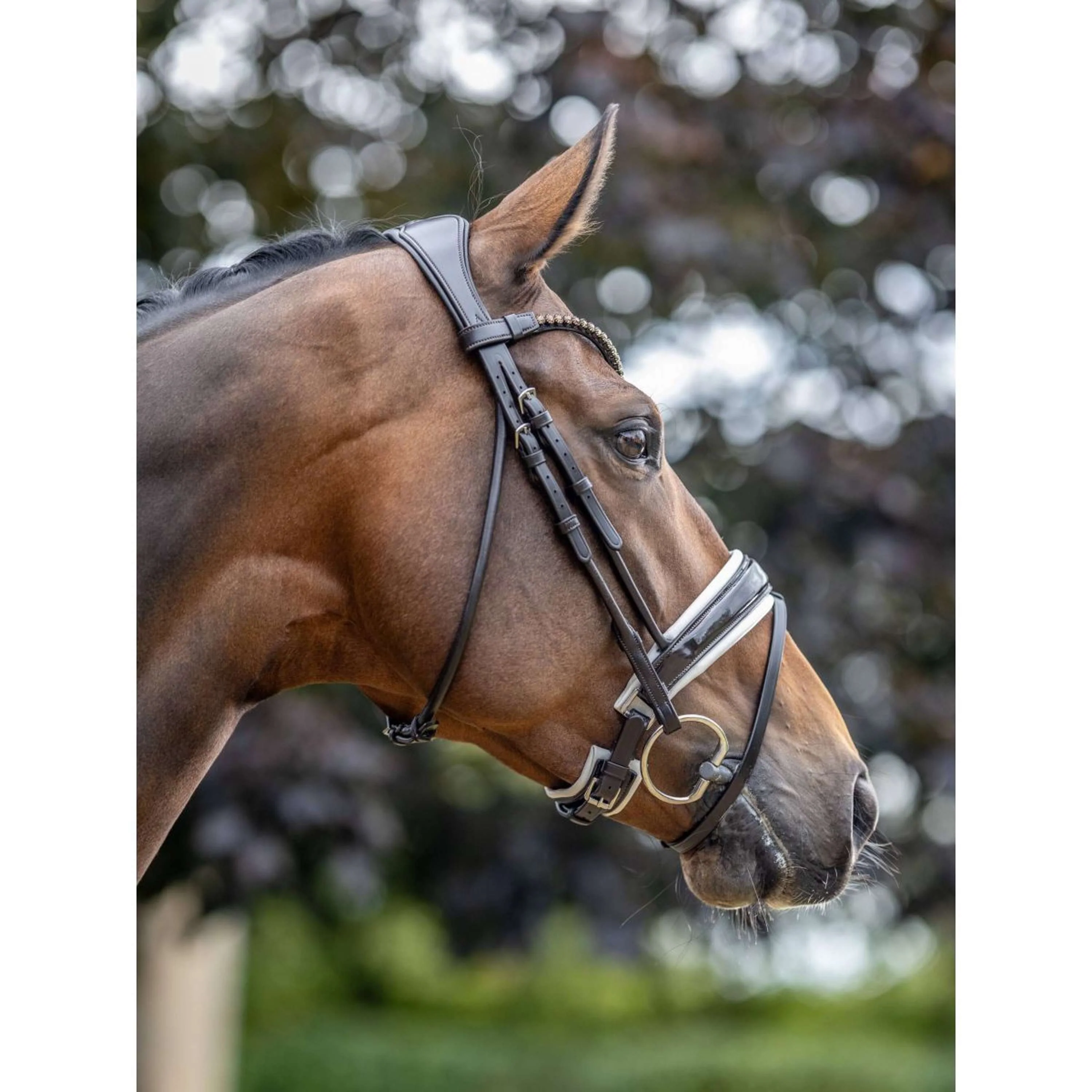 LeMieux Bride Kudos Patent Dressage Marron/Blanc - Image 4