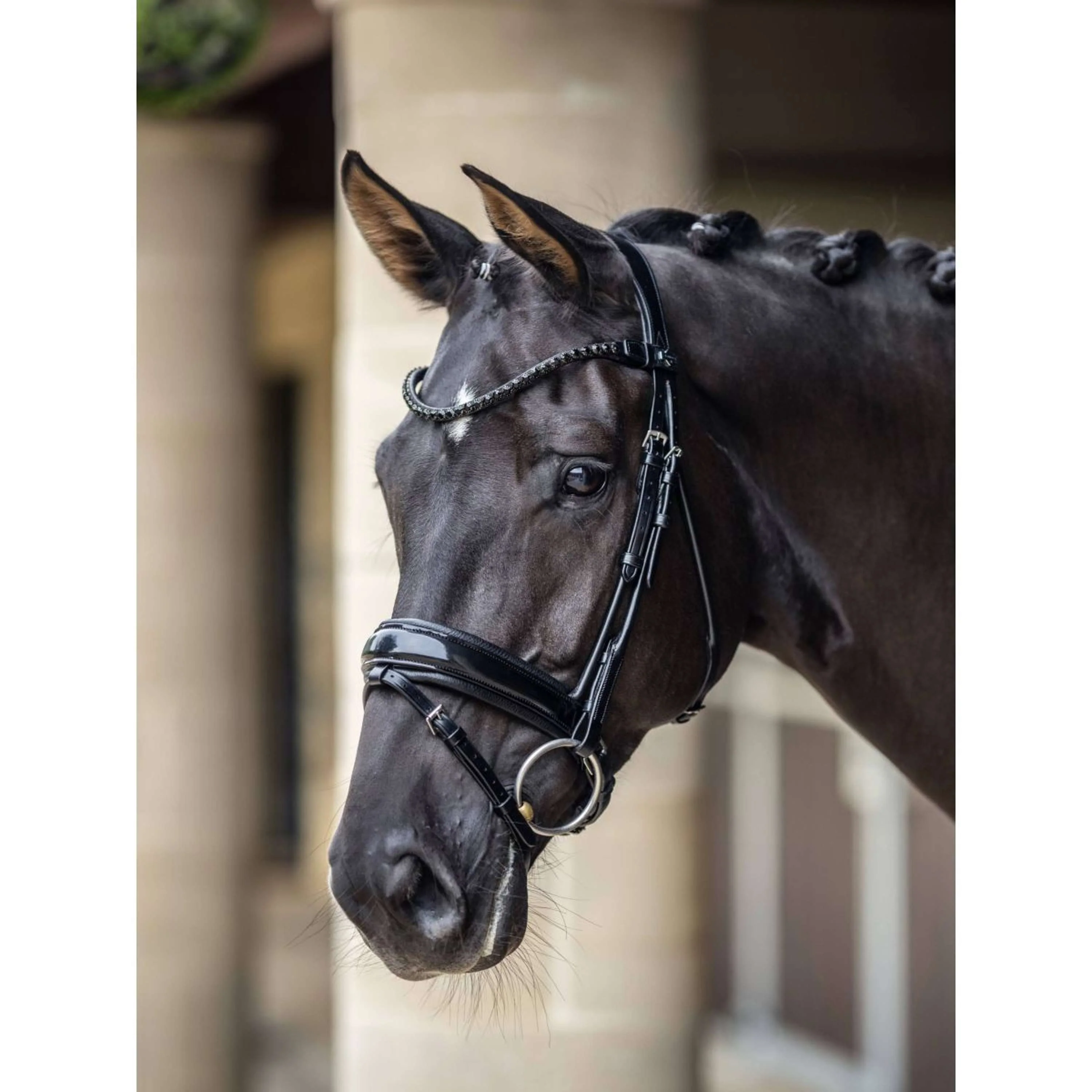 LeMieux Bride Kudos Patent Dressage Noir - Image 3
