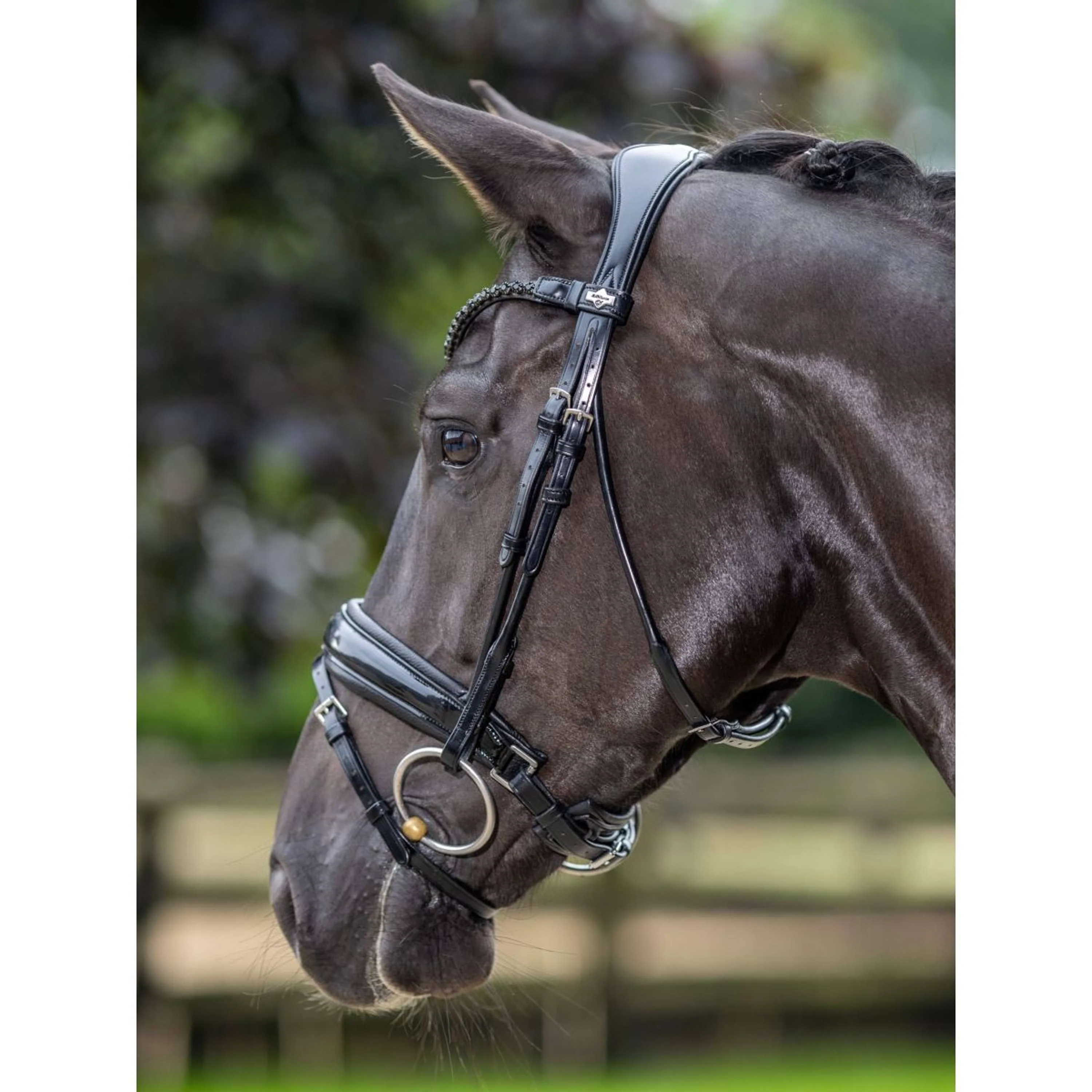 LeMieux Bride Kudos Patent Dressage Noir - Image 4