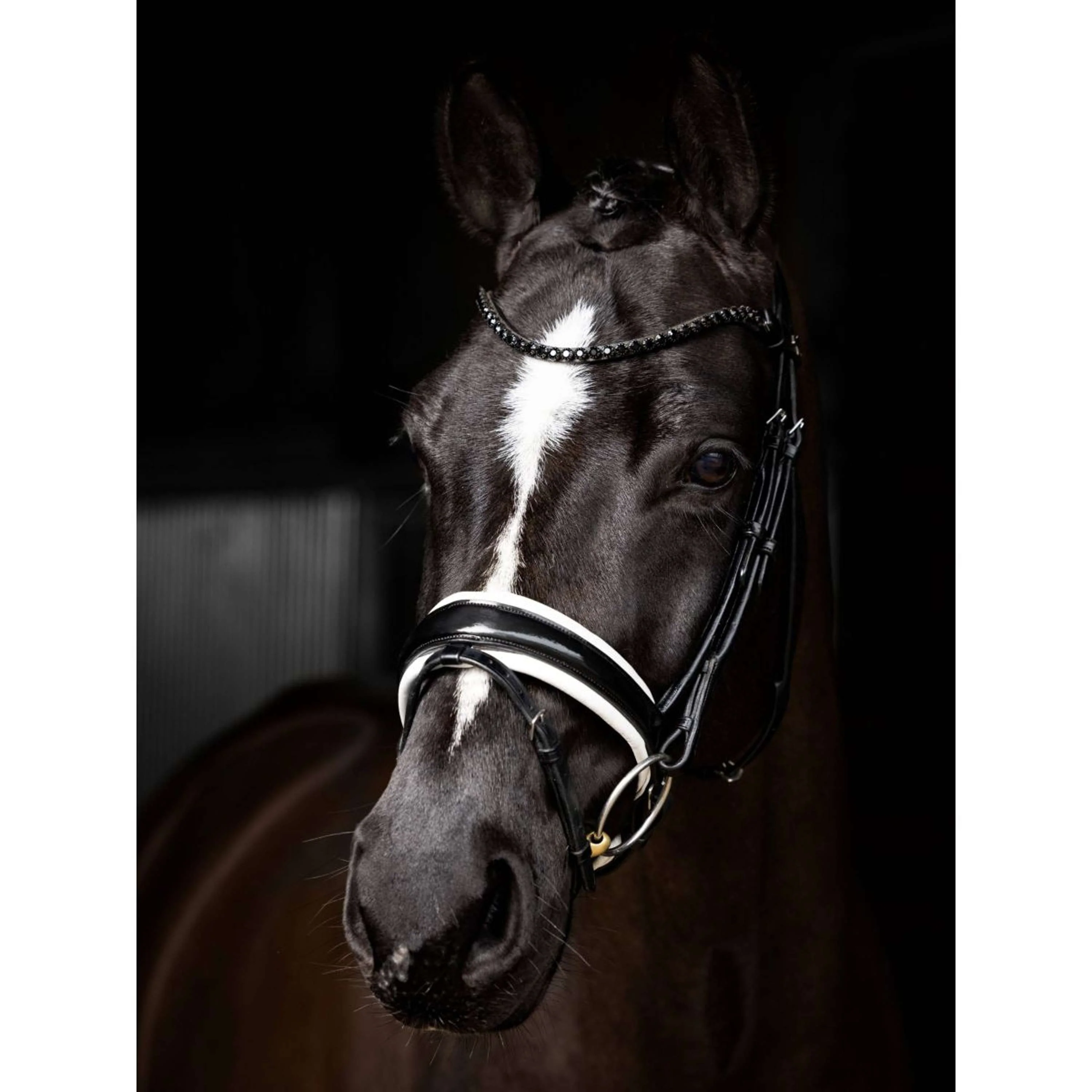 LeMieux Bride Kudos Patent Dressage Noir/Argent - Image 3