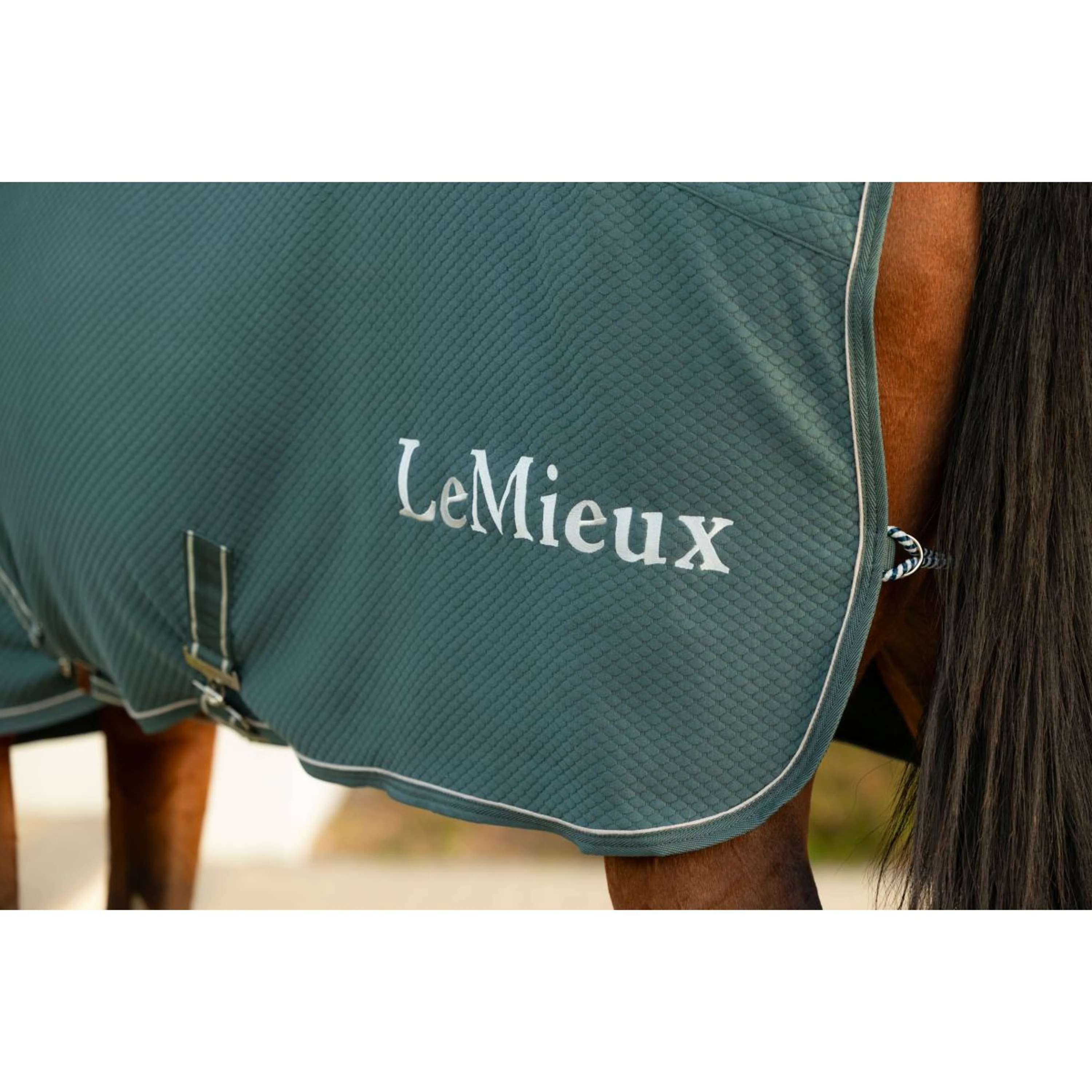 LeMieux Chemise Rafraîchissante Kudos Bamboo Jungle - Image 3