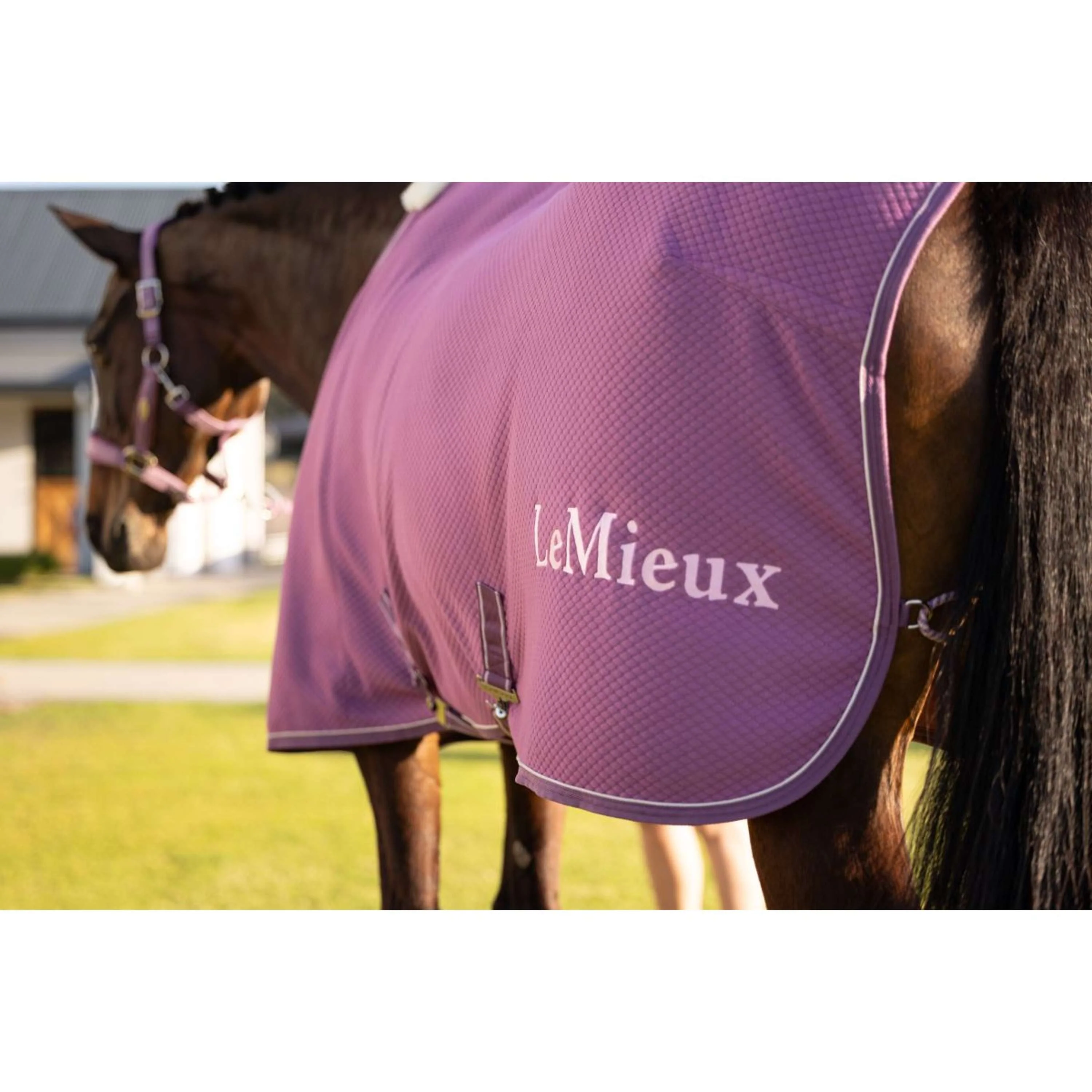 LeMieux Chemise Rafraîchissante Kudos Bamboo Mallow - Image 10