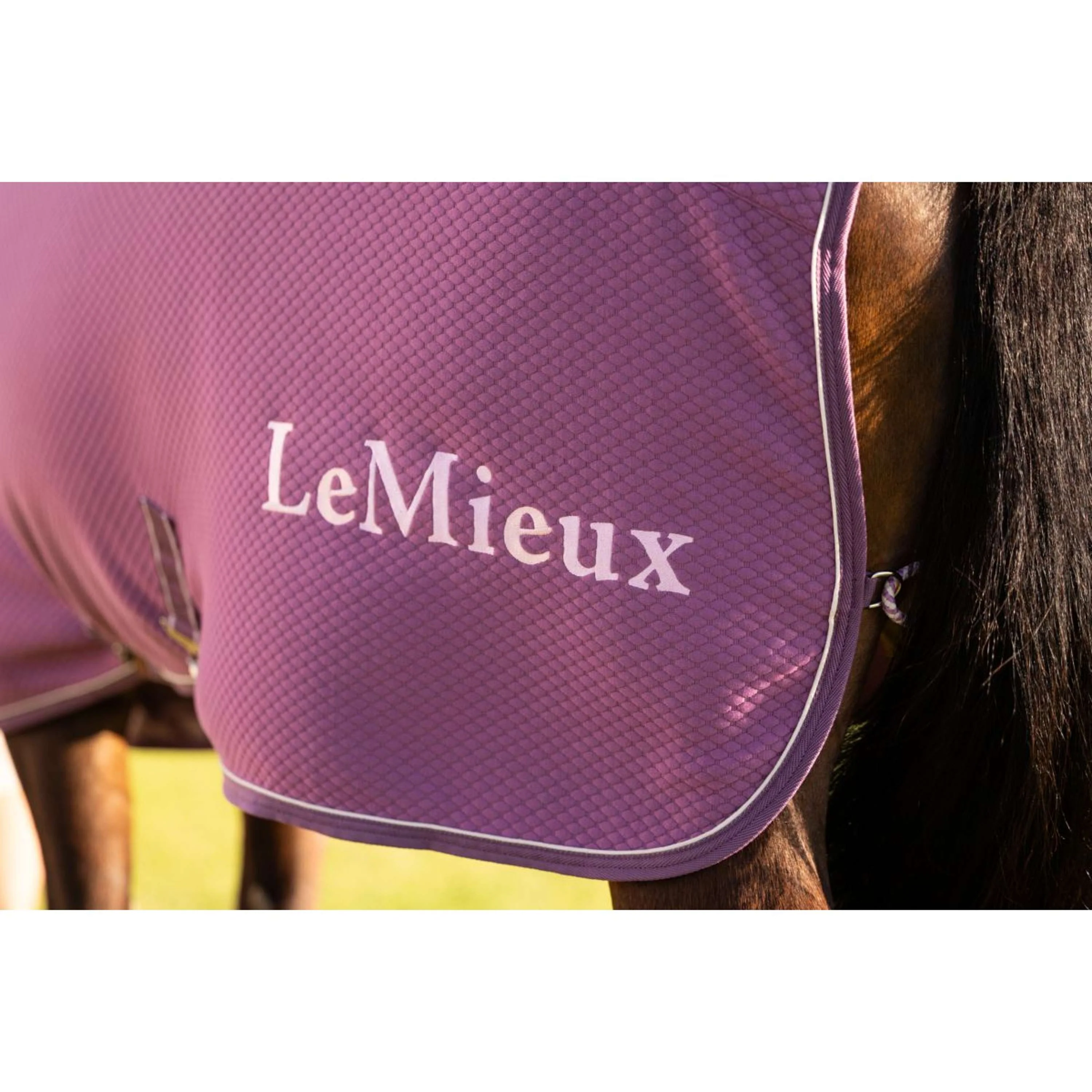 LeMieux Chemise Rafraîchissante Kudos Bamboo Mallow - Image 9