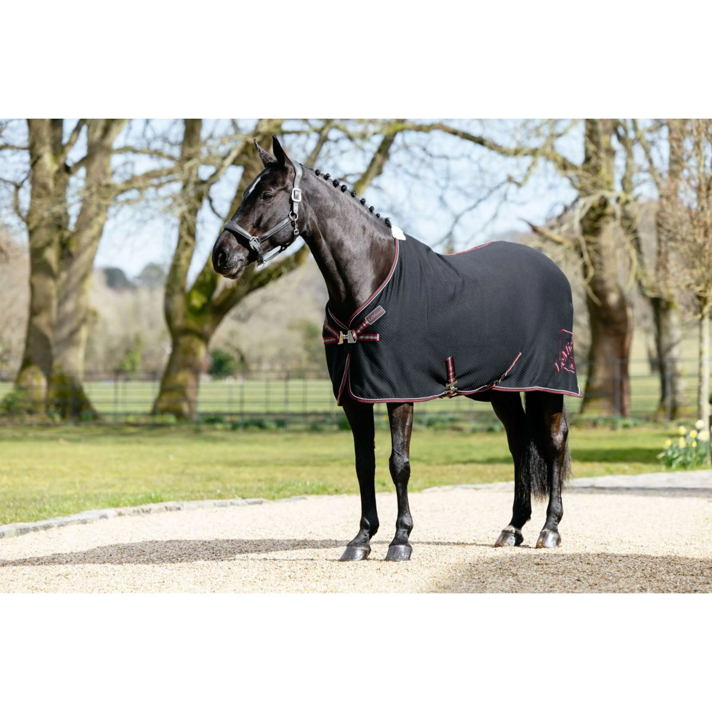 LeMieux Chemise Rafraîchissante Kudos Bamboo Noir - Image 2