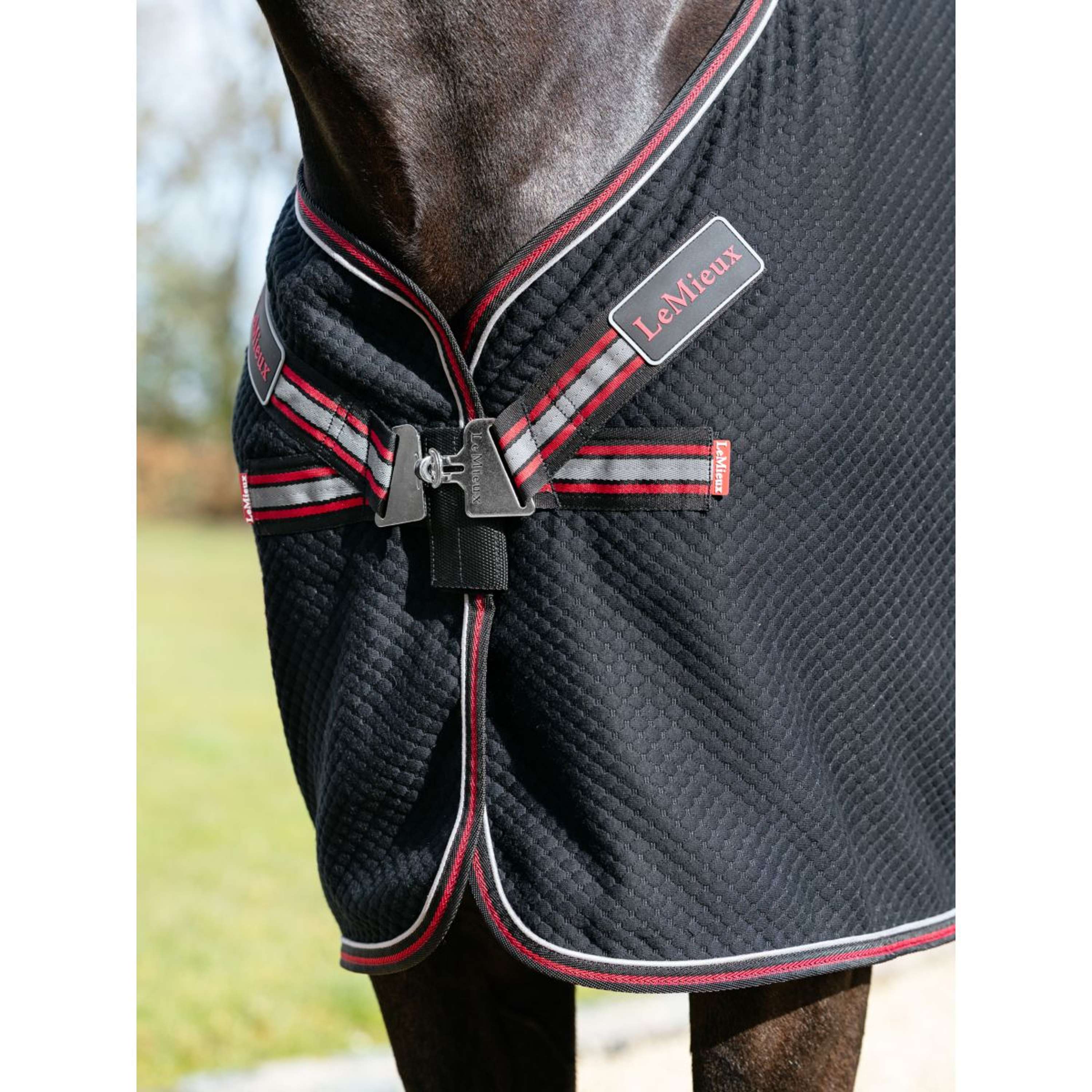 LeMieux Chemise Rafraîchissante Kudos Bamboo Noir - Image 3