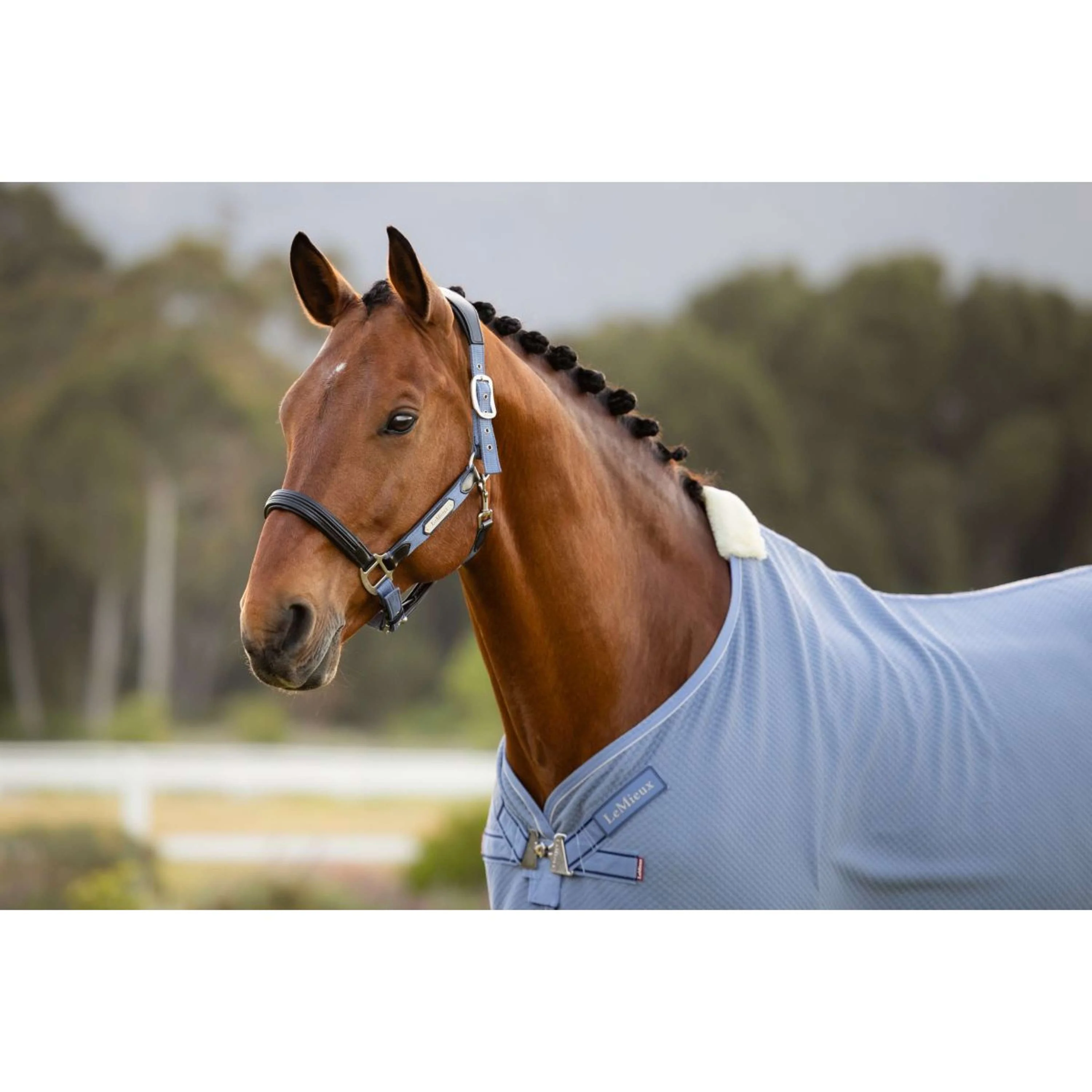 LeMieux Chemise Rafraîchissante Kudos Bamboo Powder Blue - Image 2